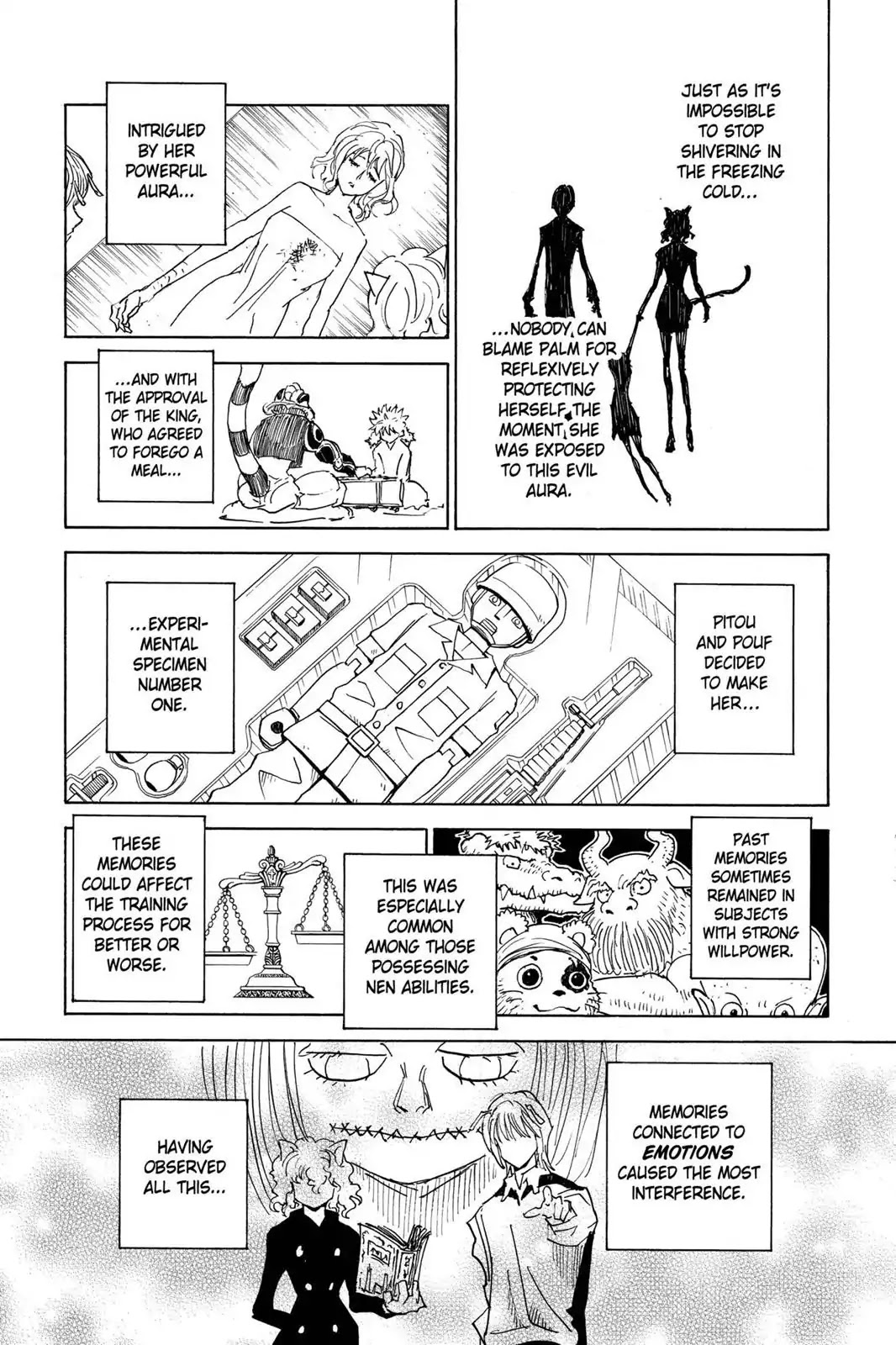 Hunter X Hunter chapter 294 page 11