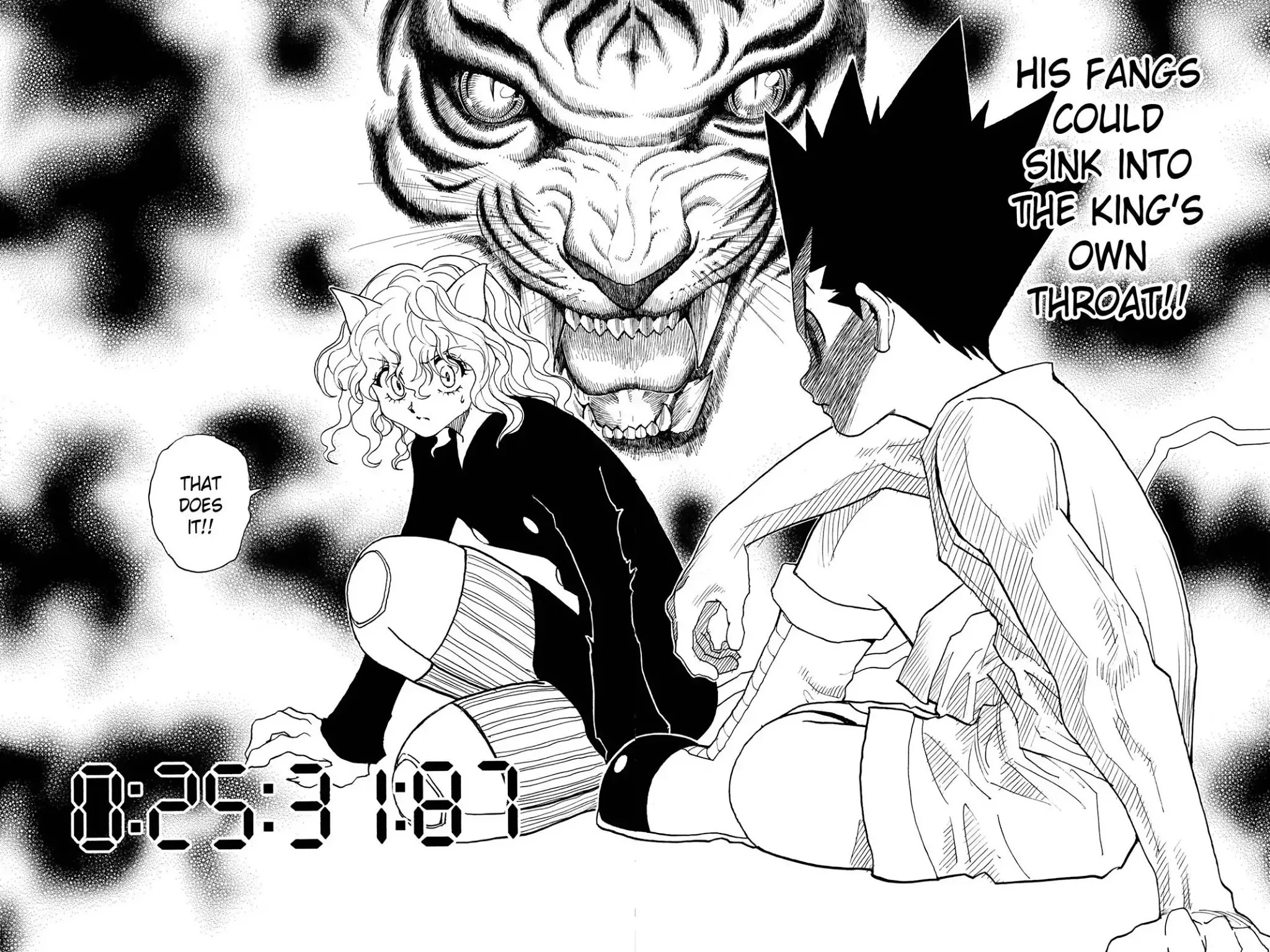 Hunter X Hunter chapter 295 page 14