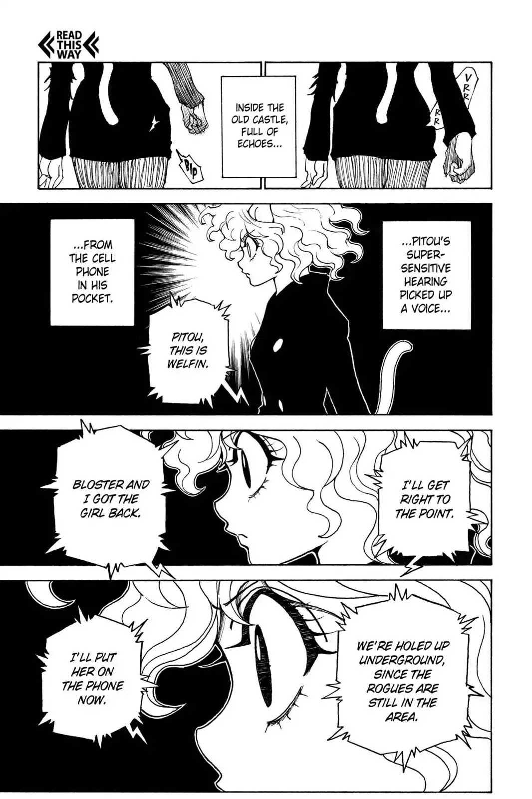 Hunter X Hunter chapter 304 page 8