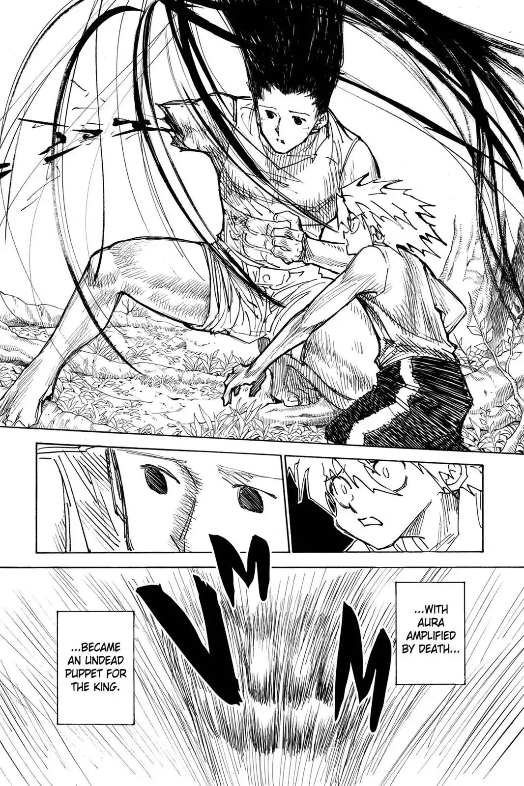 Hunter X Hunter chapter 307 page 9