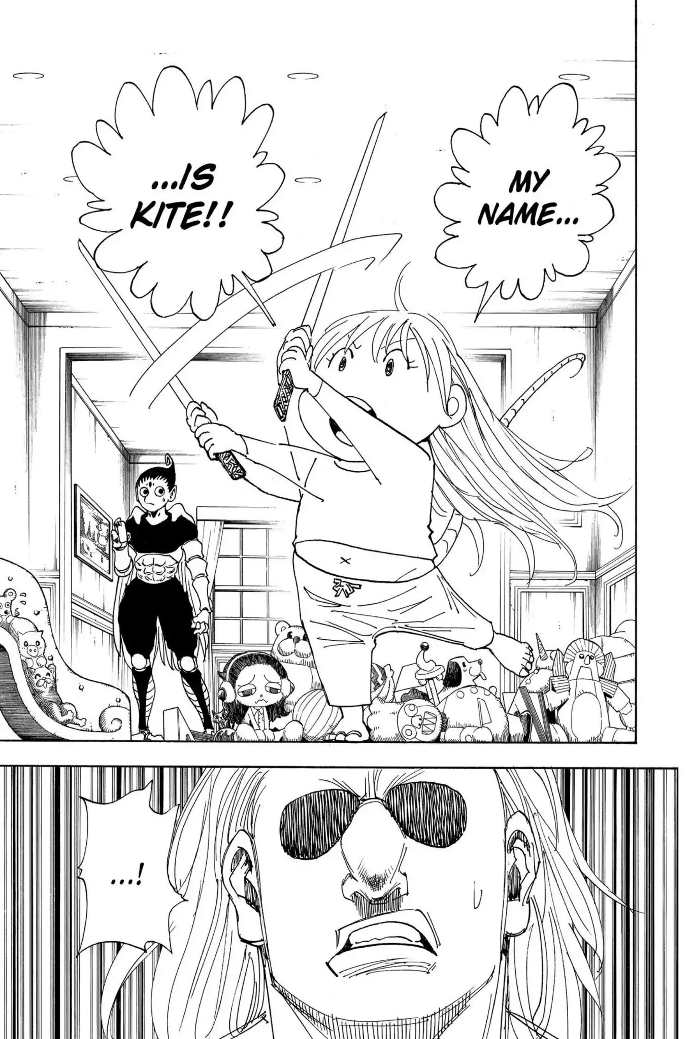 Hunter X Hunter chapter 316 page 17