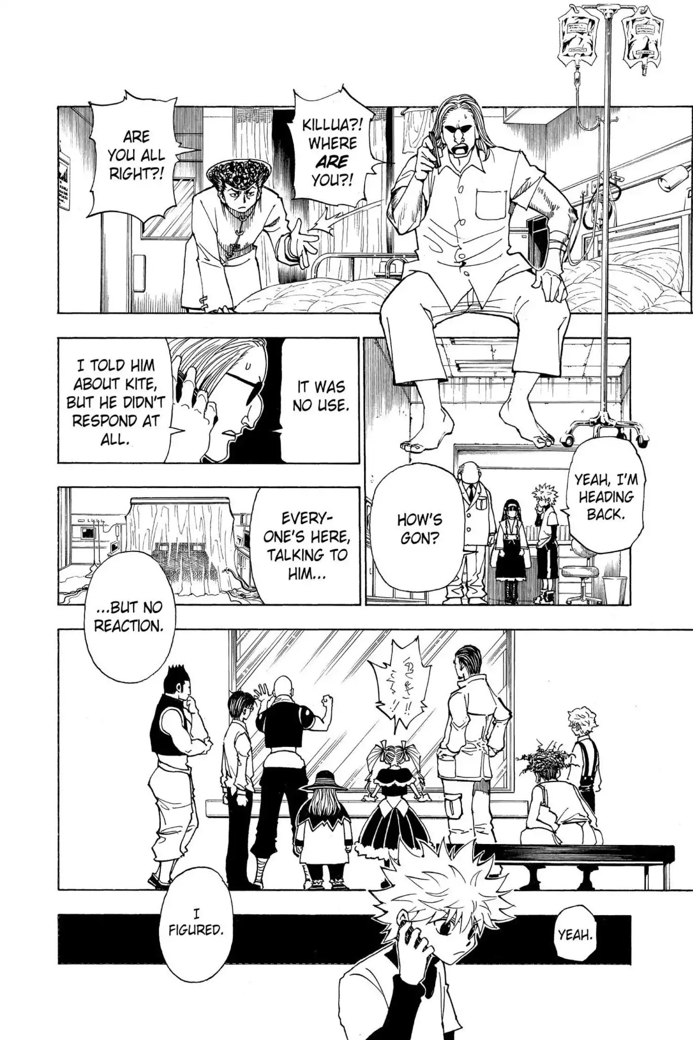 Hunter X Hunter chapter 324 page 10