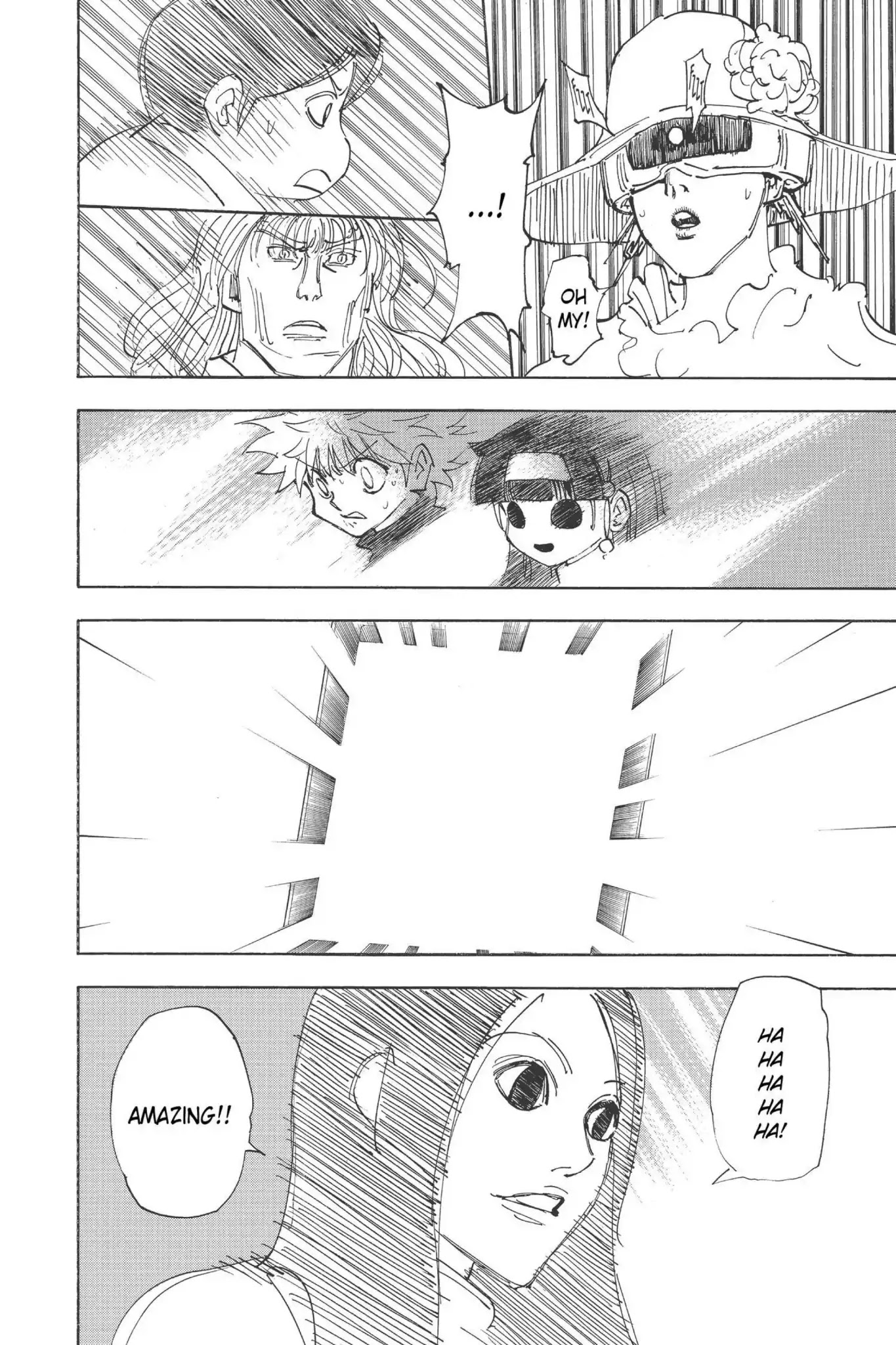 Hunter X Hunter chapter 333 page 13