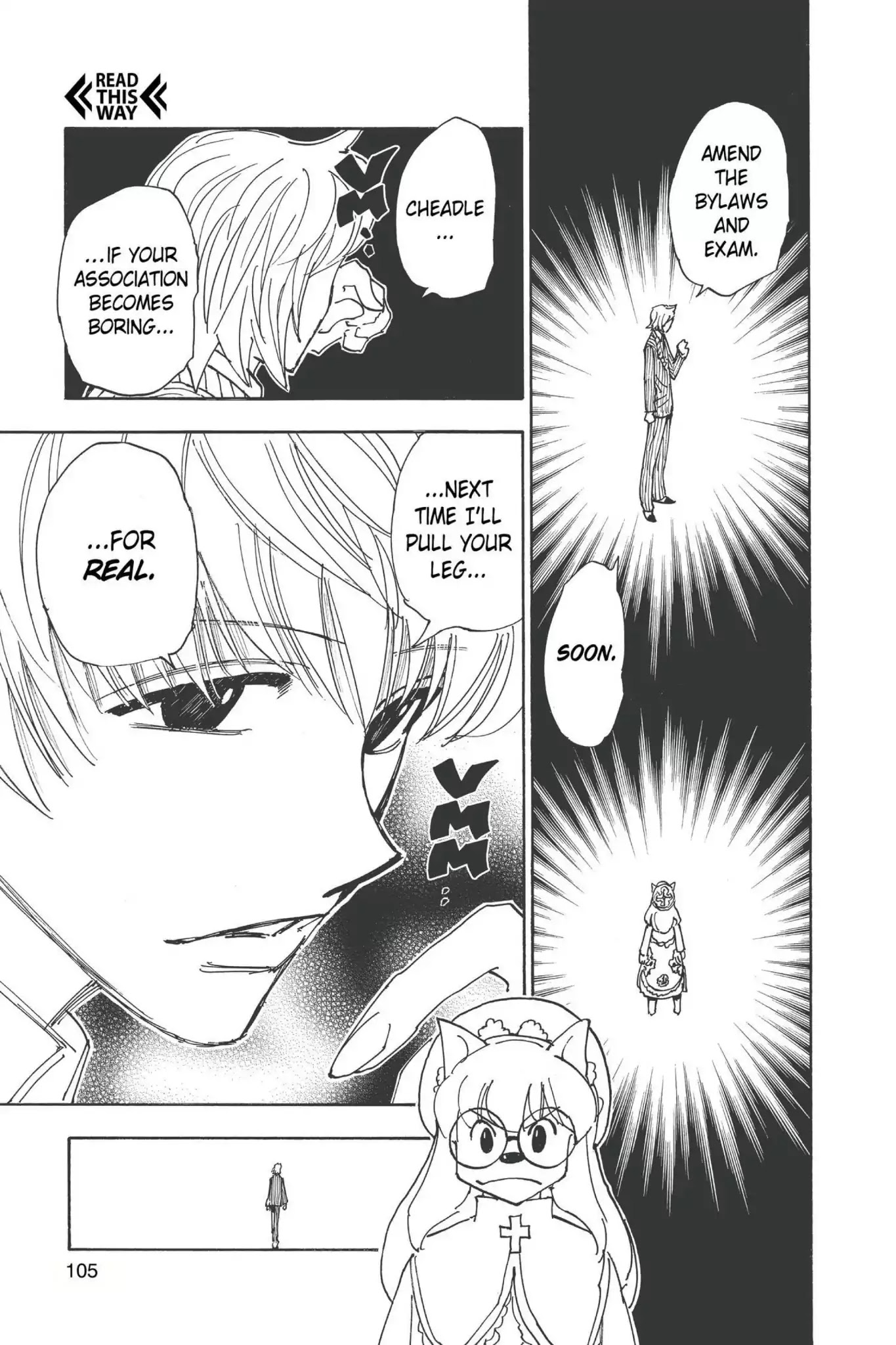 Hunter X Hunter chapter 335 page 17