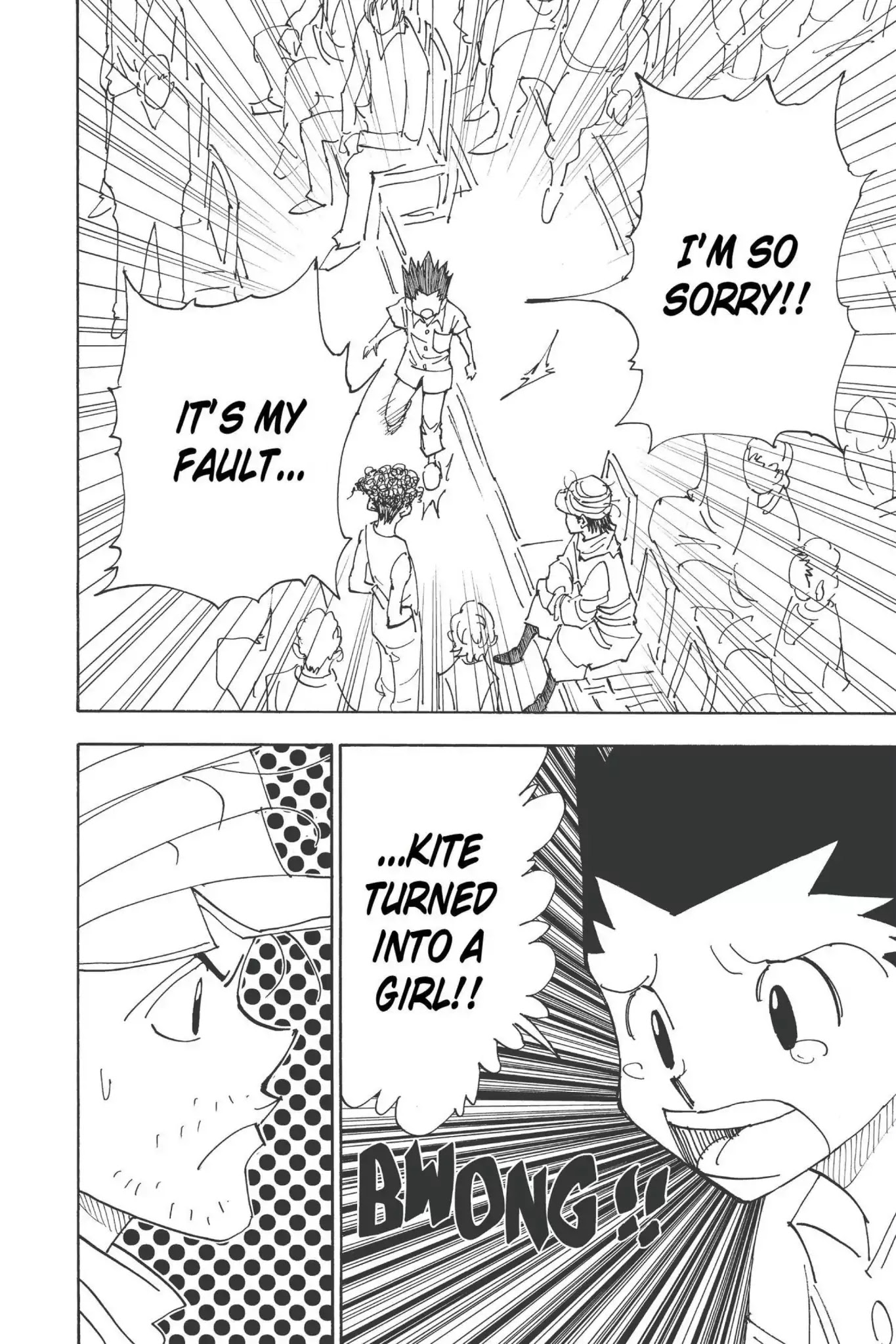 Hunter X Hunter chapter 335 page 2