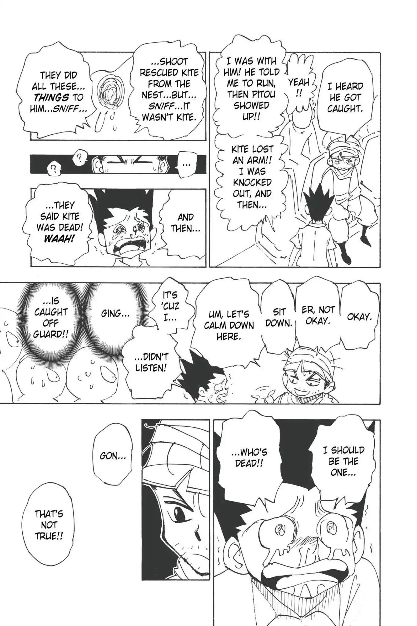 Hunter X Hunter chapter 335 page 3