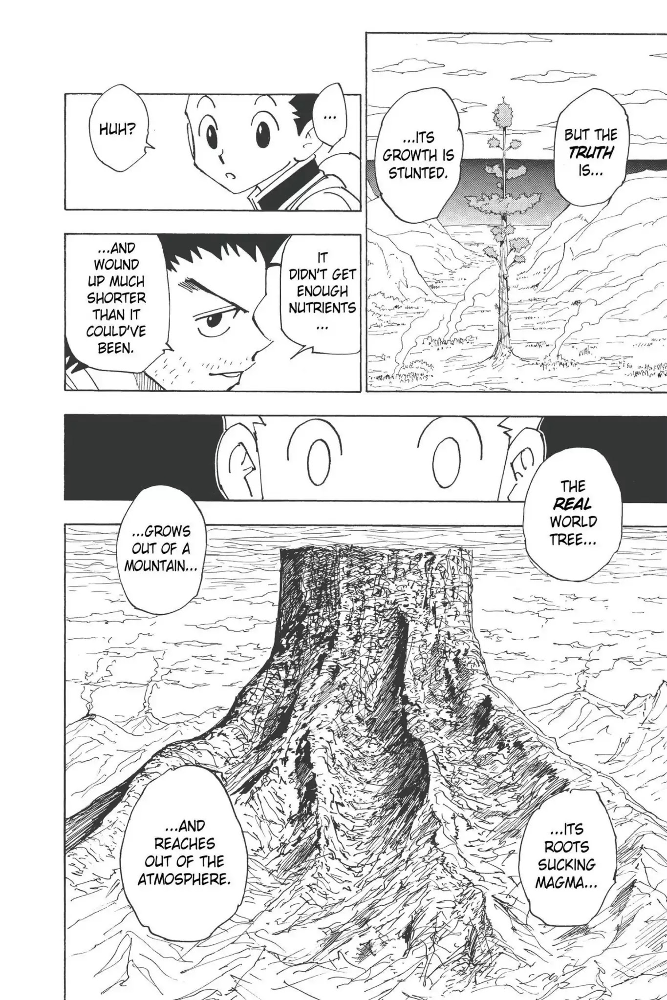 Hunter X Hunter chapter 338 page 15