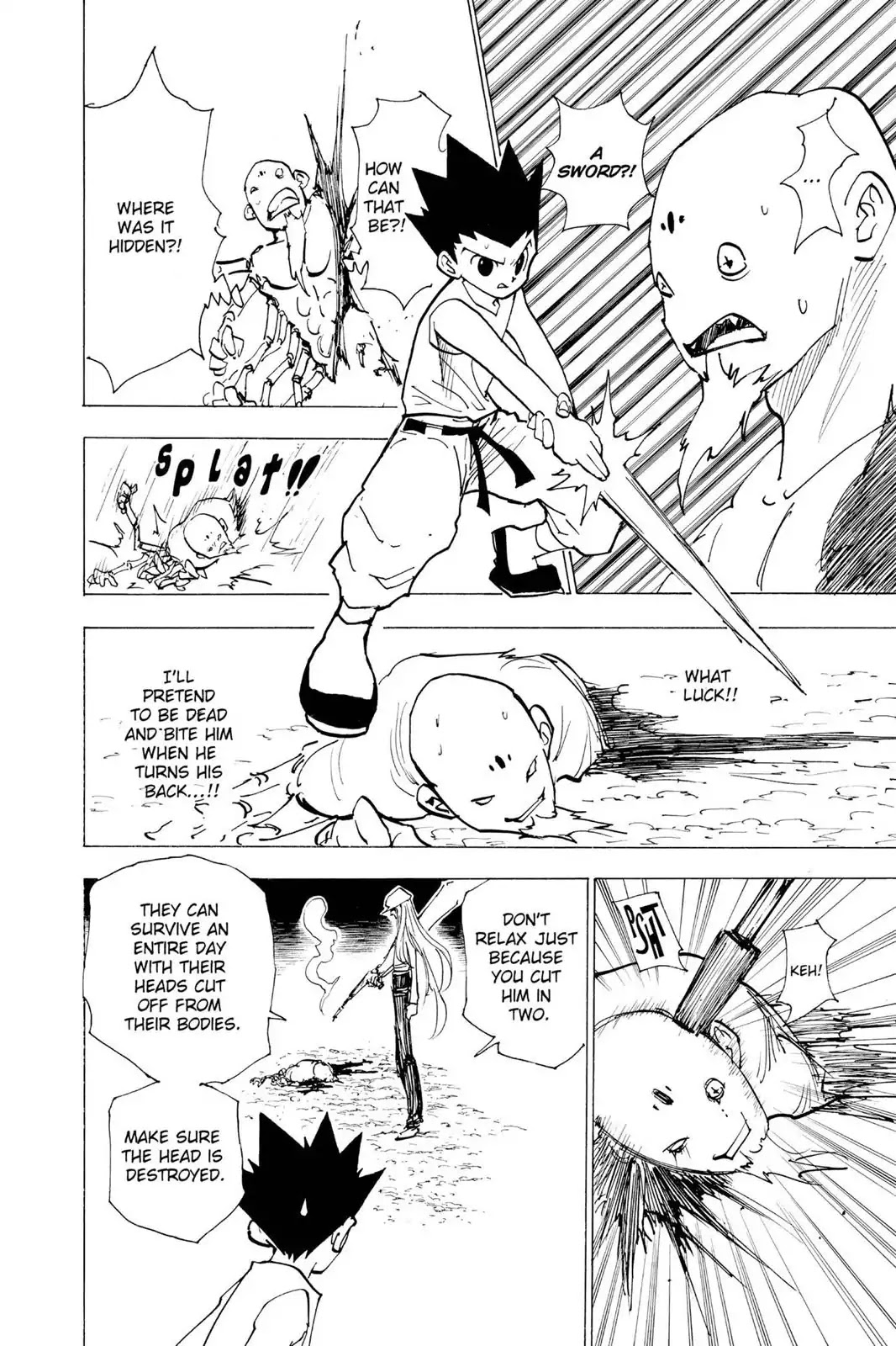 Hunter X Hunter chapter 193 page 13