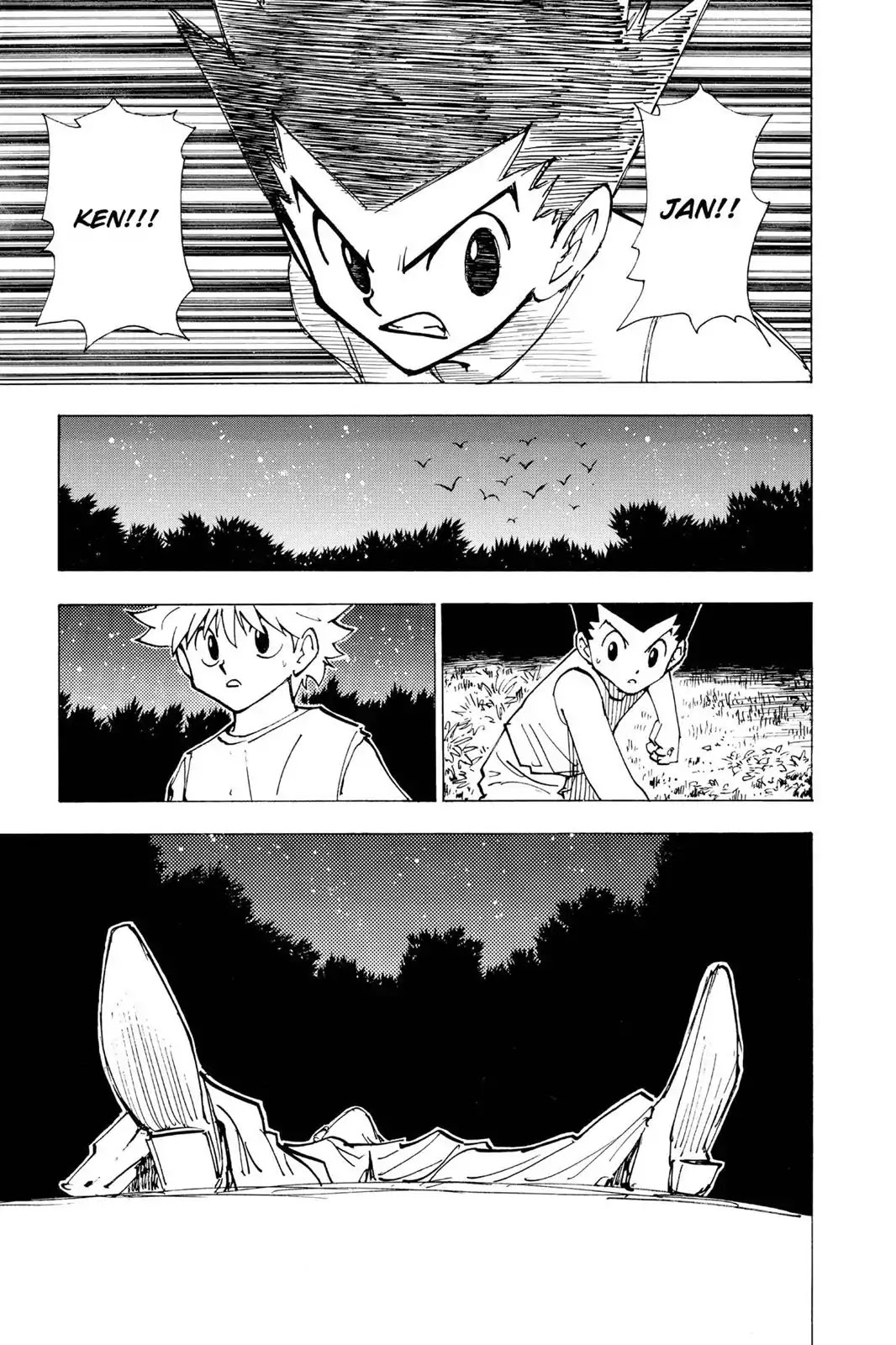 Hunter X Hunter chapter 203 page 8