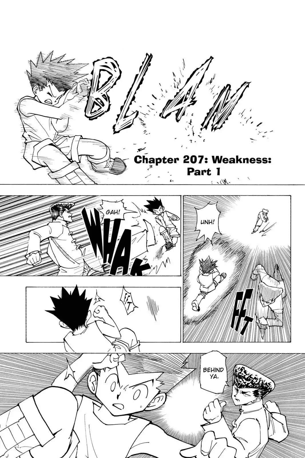 Hunter X Hunter chapter 207 page 1