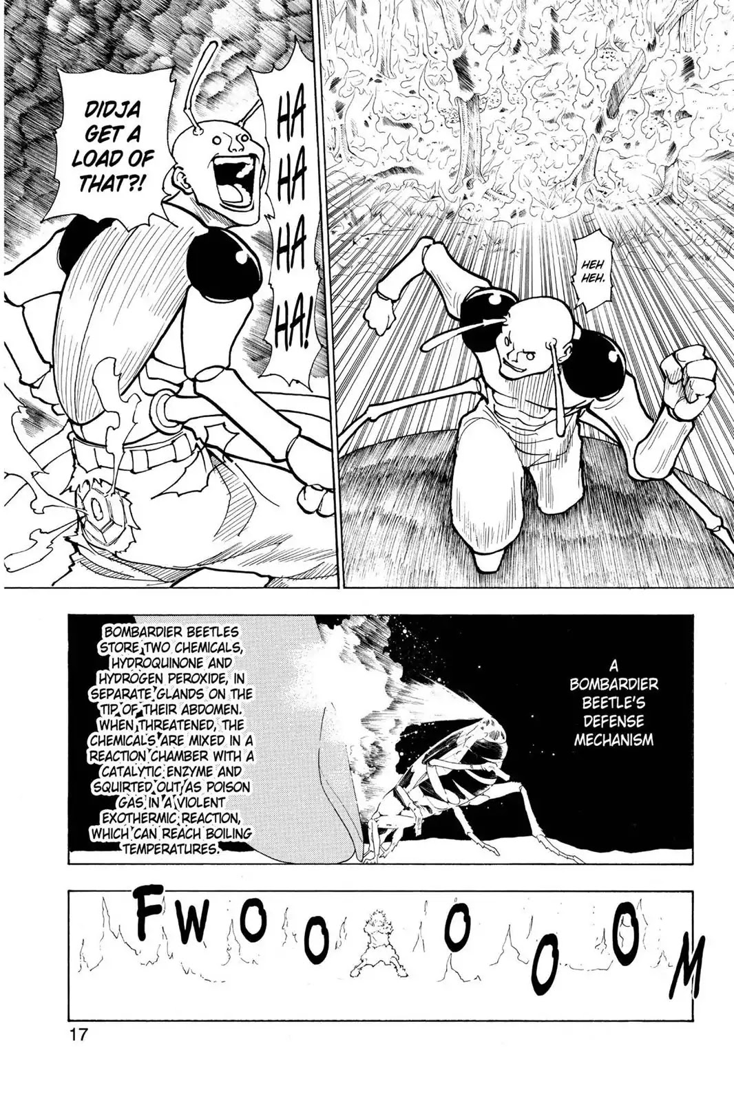 Hunter X Hunter chapter 236 page 17