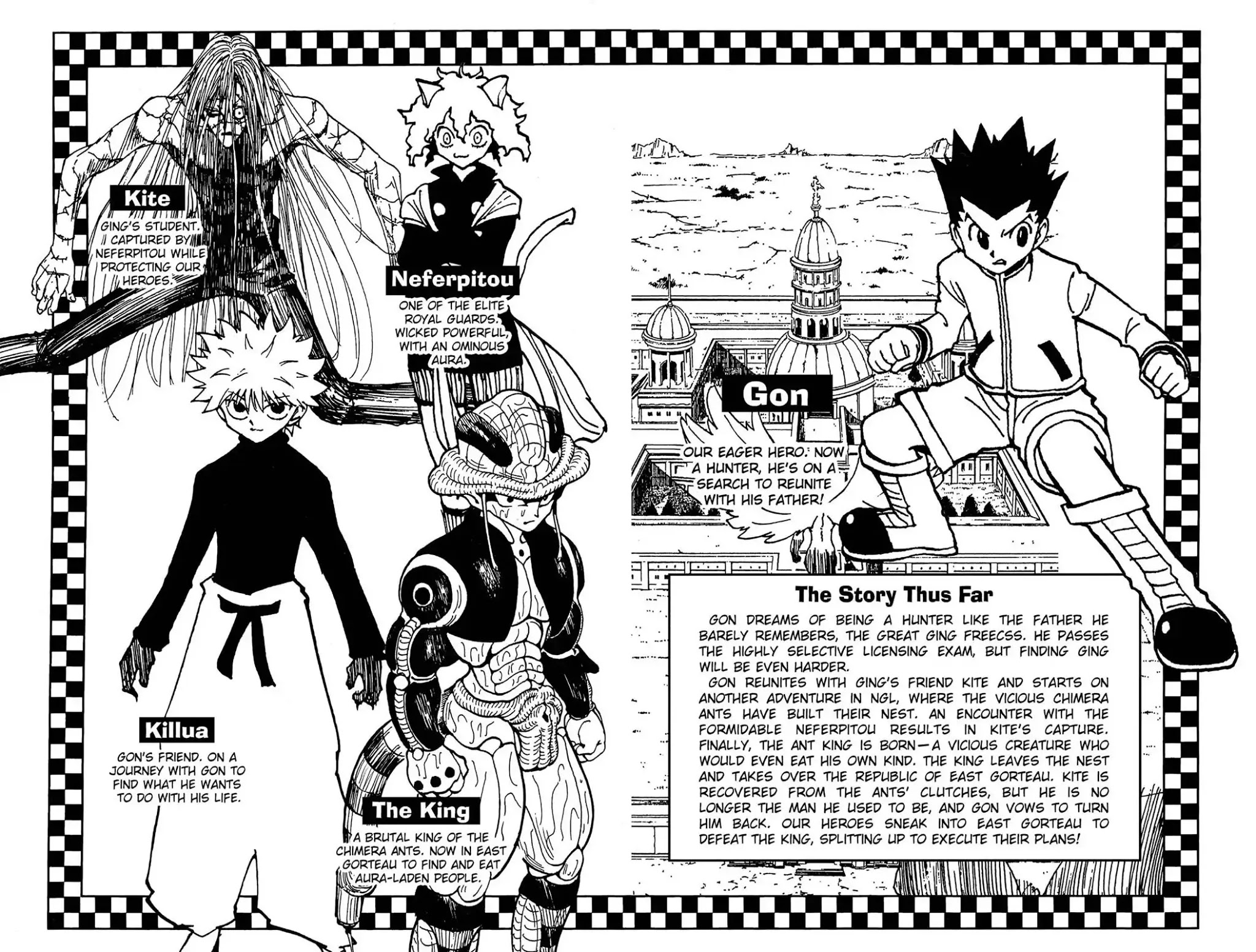 Hunter X Hunter chapter 236 page 5