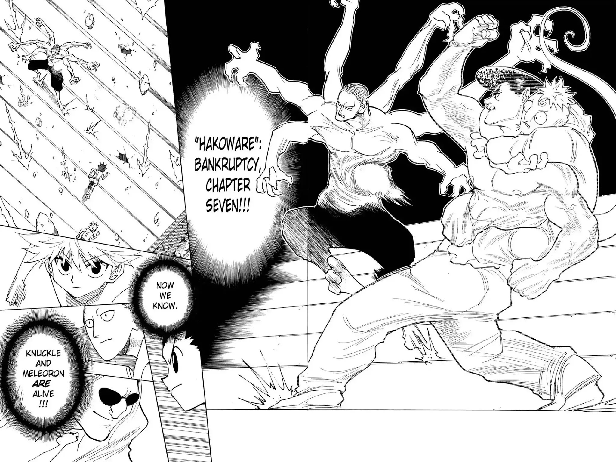 Hunter X Hunter chapter 266 page 15