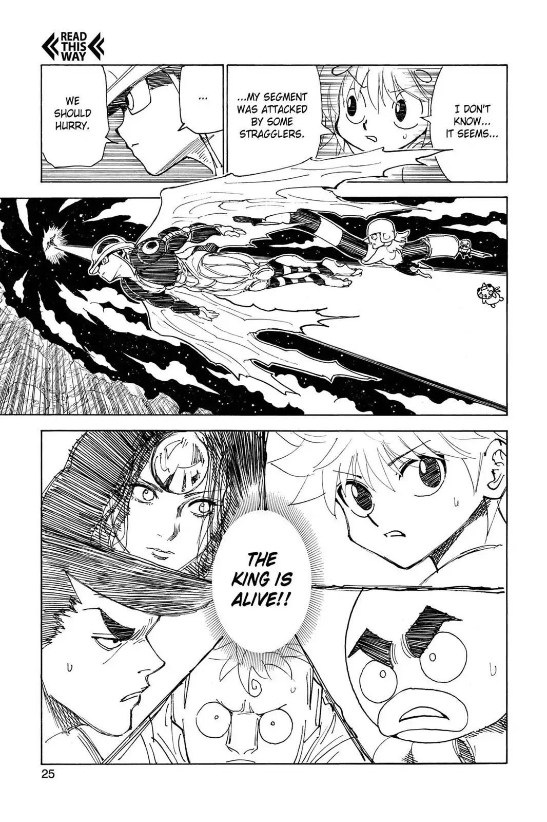 Hunter X Hunter chapter 301 page 25