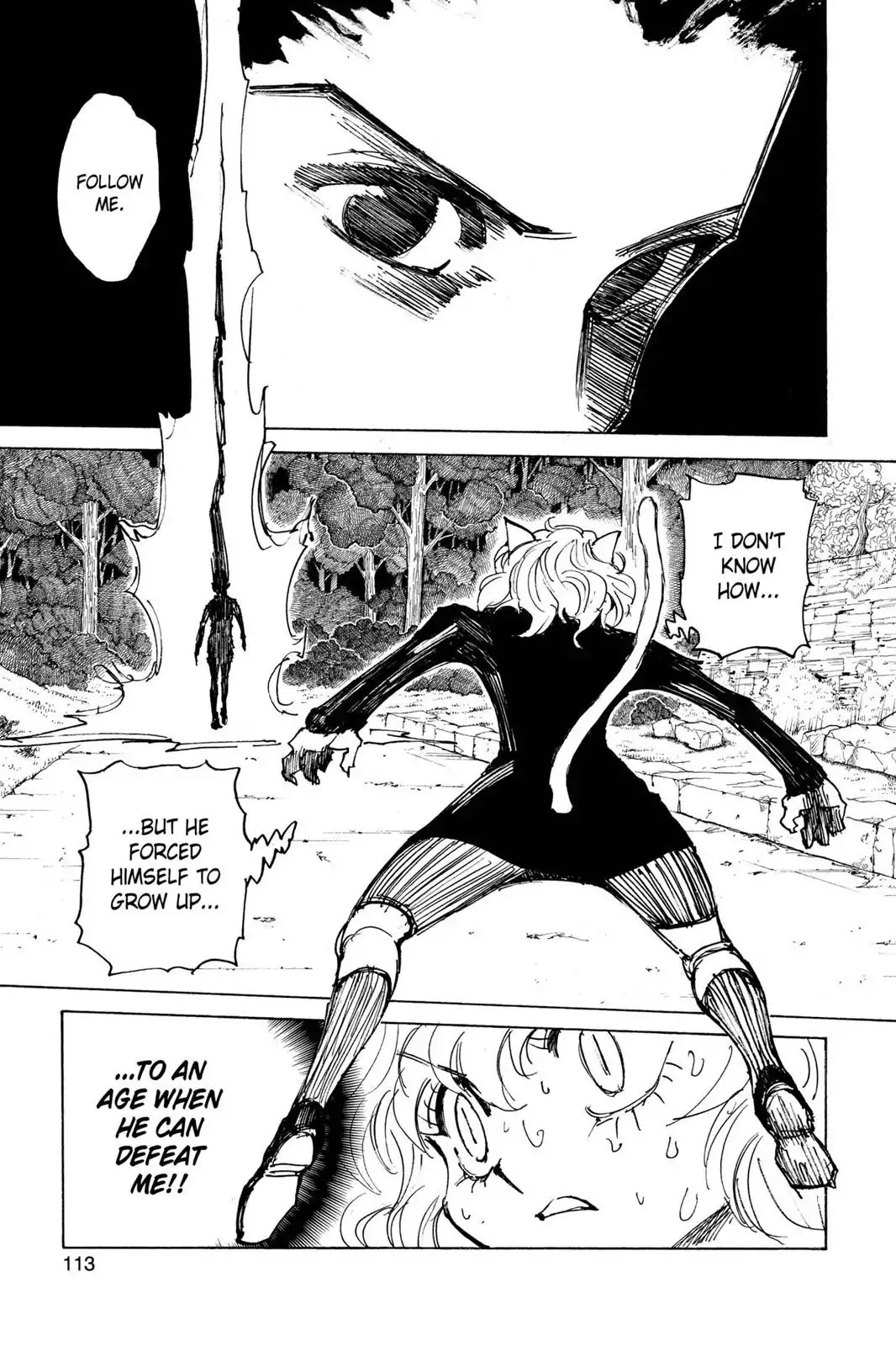 Hunter X Hunter chapter 306 page 6