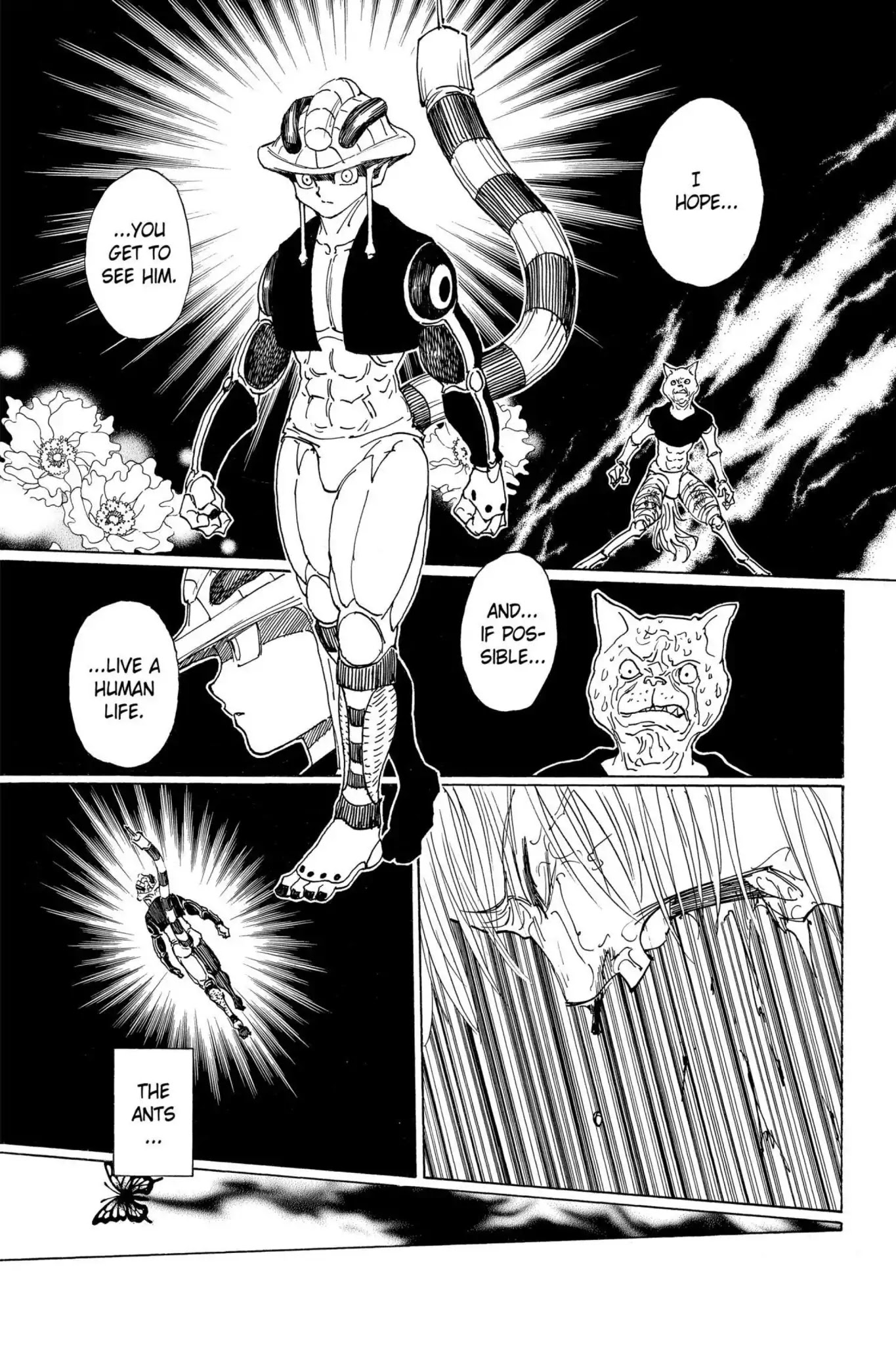 Hunter X Hunter chapter 313 page 14