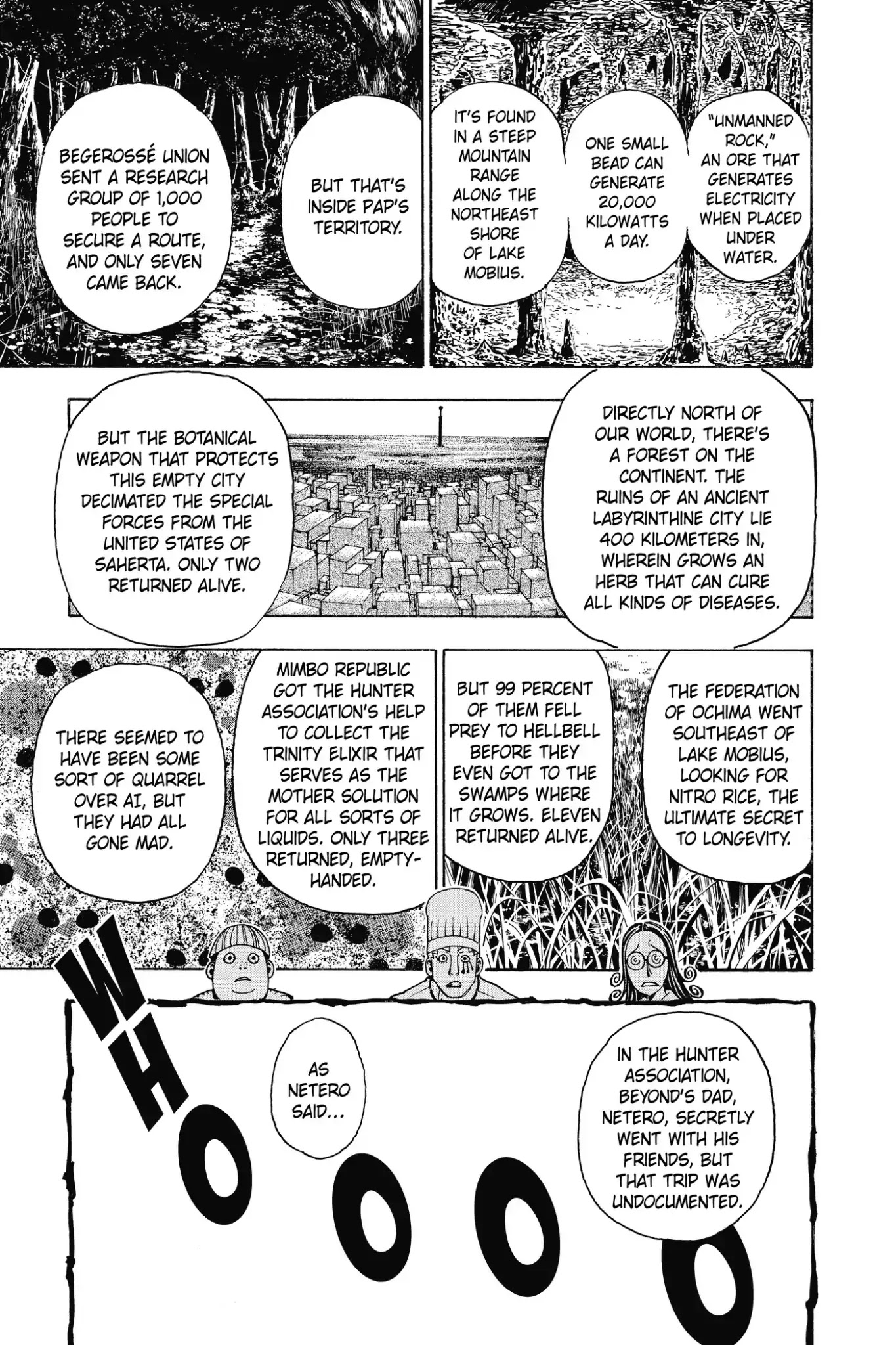 Hunter X Hunter chapter 344 page 12