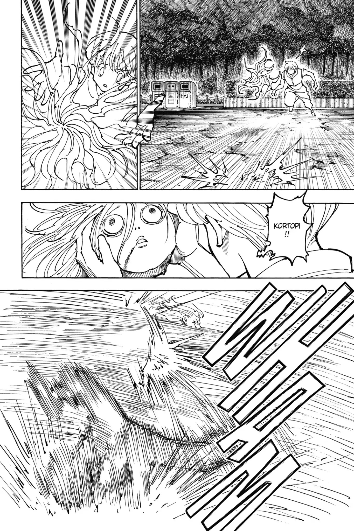 Hunter X Hunter chapter 357 page 18