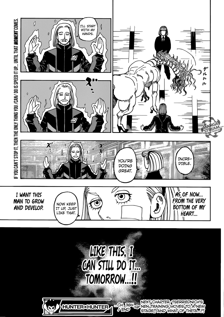 Hunter X Hunter chapter 384 page 17