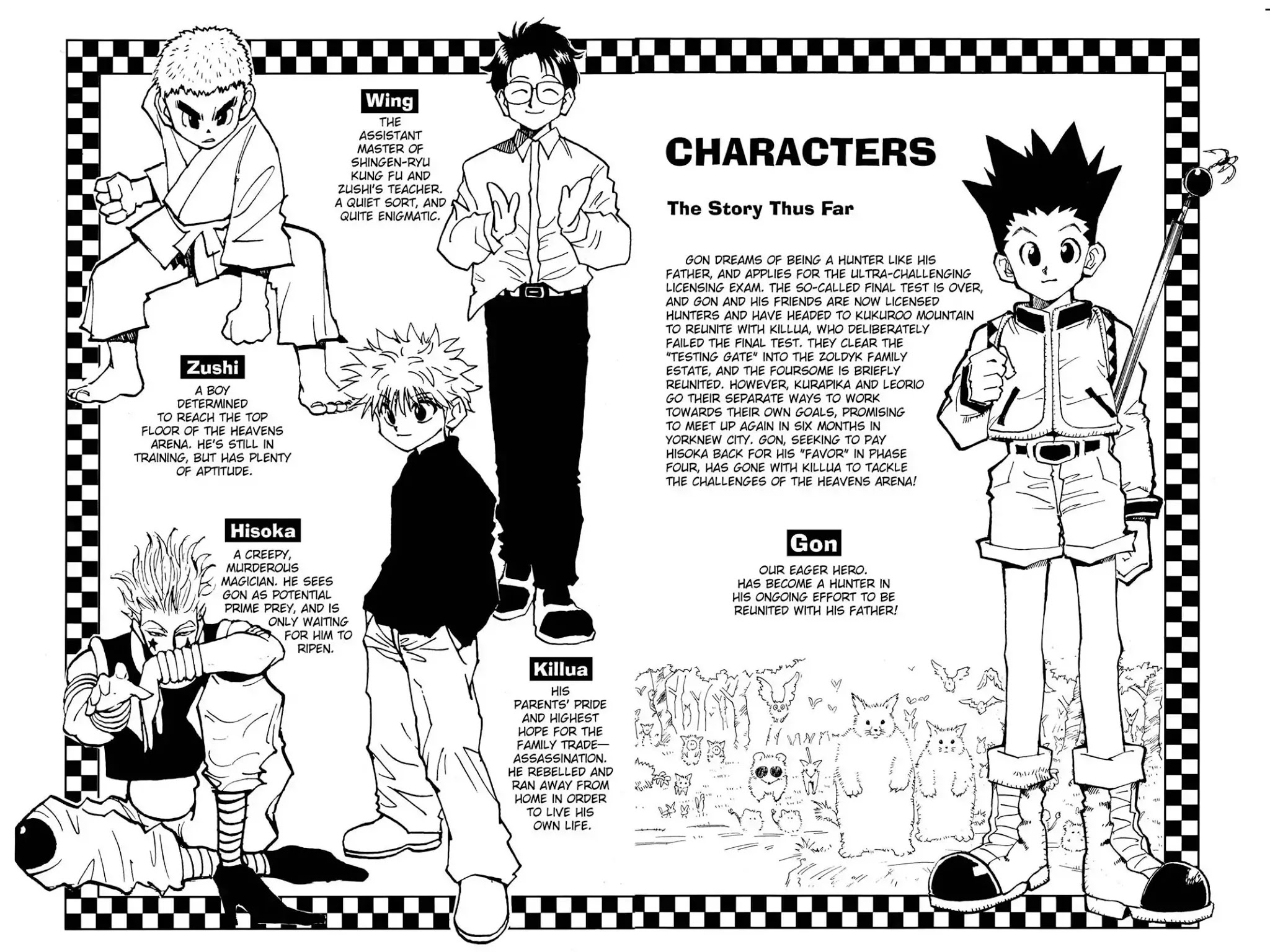 Hunter X Hunter chapter 45 page 5