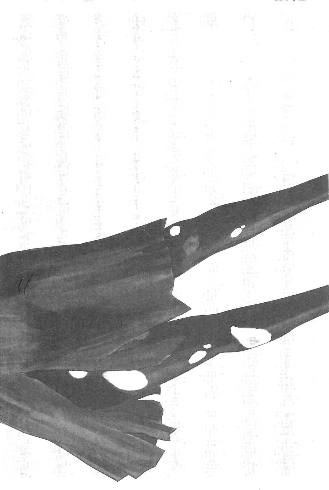 Hyouryuu Net Cafe chapter 10 page 24