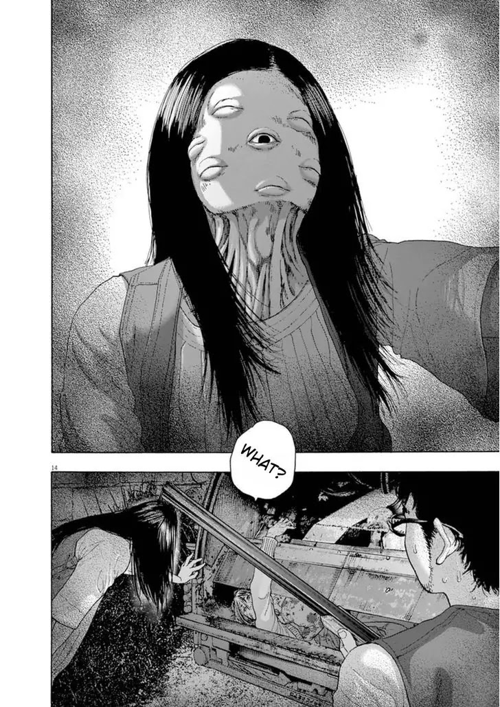 I am a Hero chapter 243 page 13