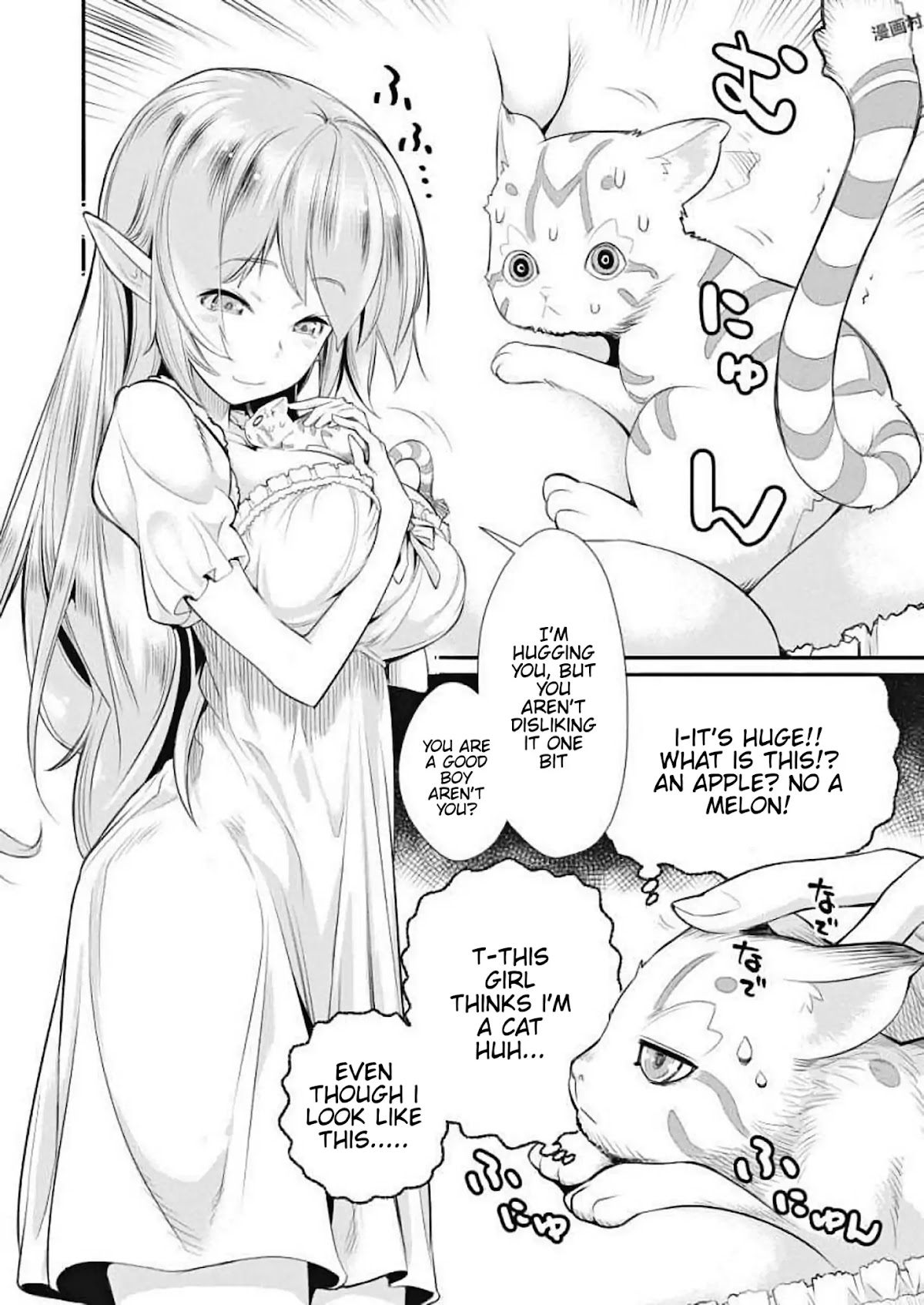 I Am Behemoth Of The S Rank Monster But I Am Mistaken As A Cat And I Live As A Pet Of Elf Girl chapter 1 page 8