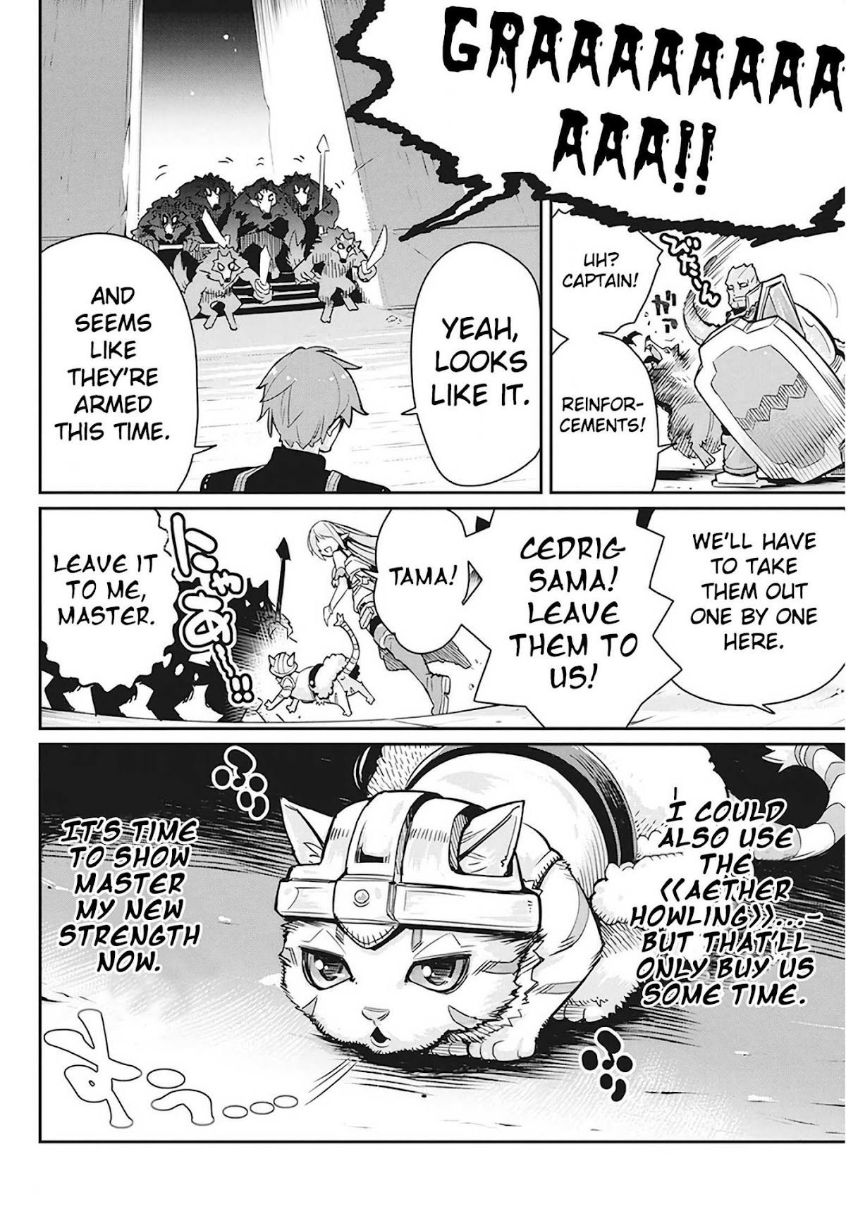 I Am Behemoth Of The S Rank Monster But I Am Mistaken As A Cat And I Live As A Pet Of Elf Girl chapter 13 page 7