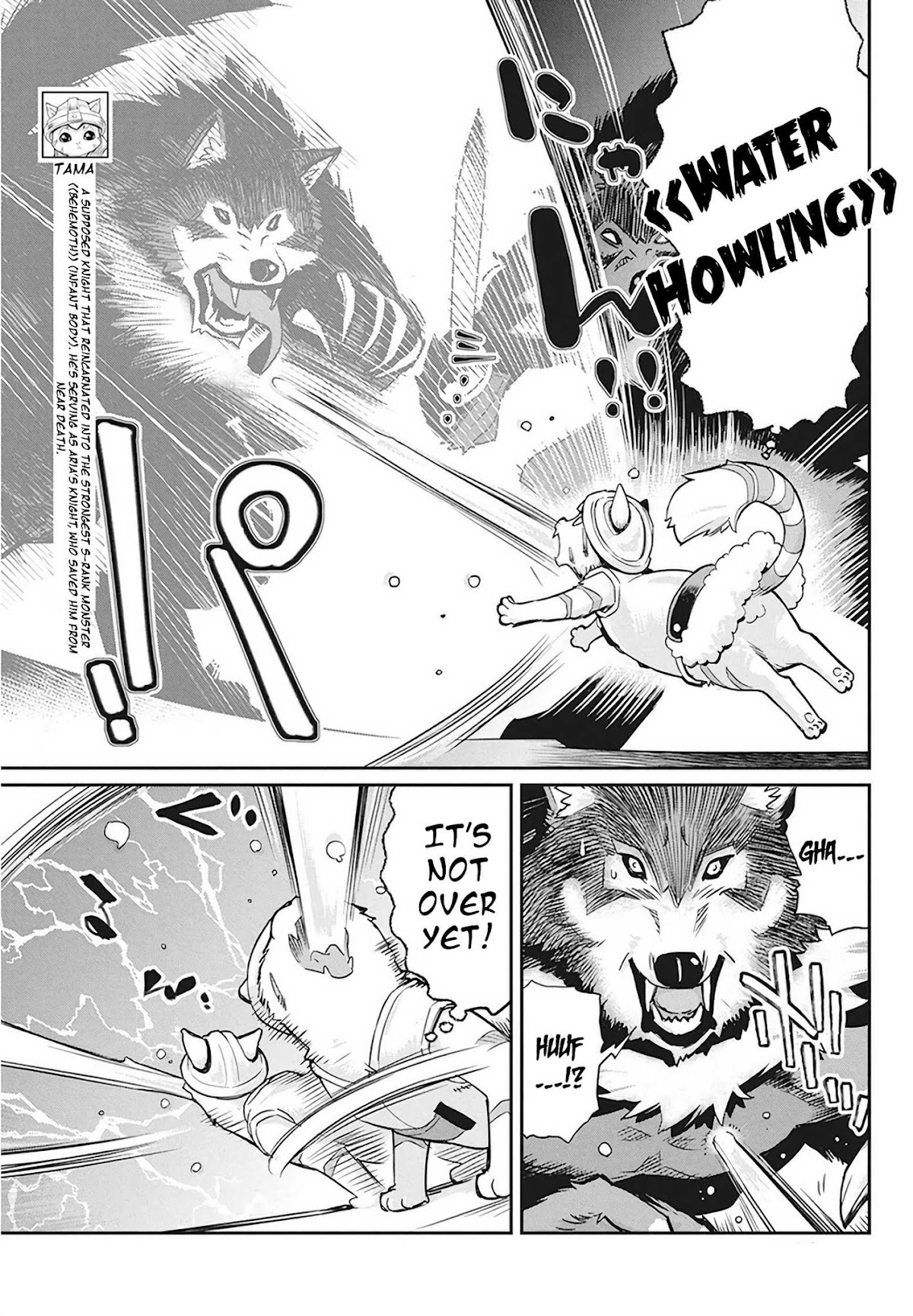 I Am Behemoth Of The S Rank Monster But I Am Mistaken As A Cat And I Live As A Pet Of Elf Girl chapter 13 page 8