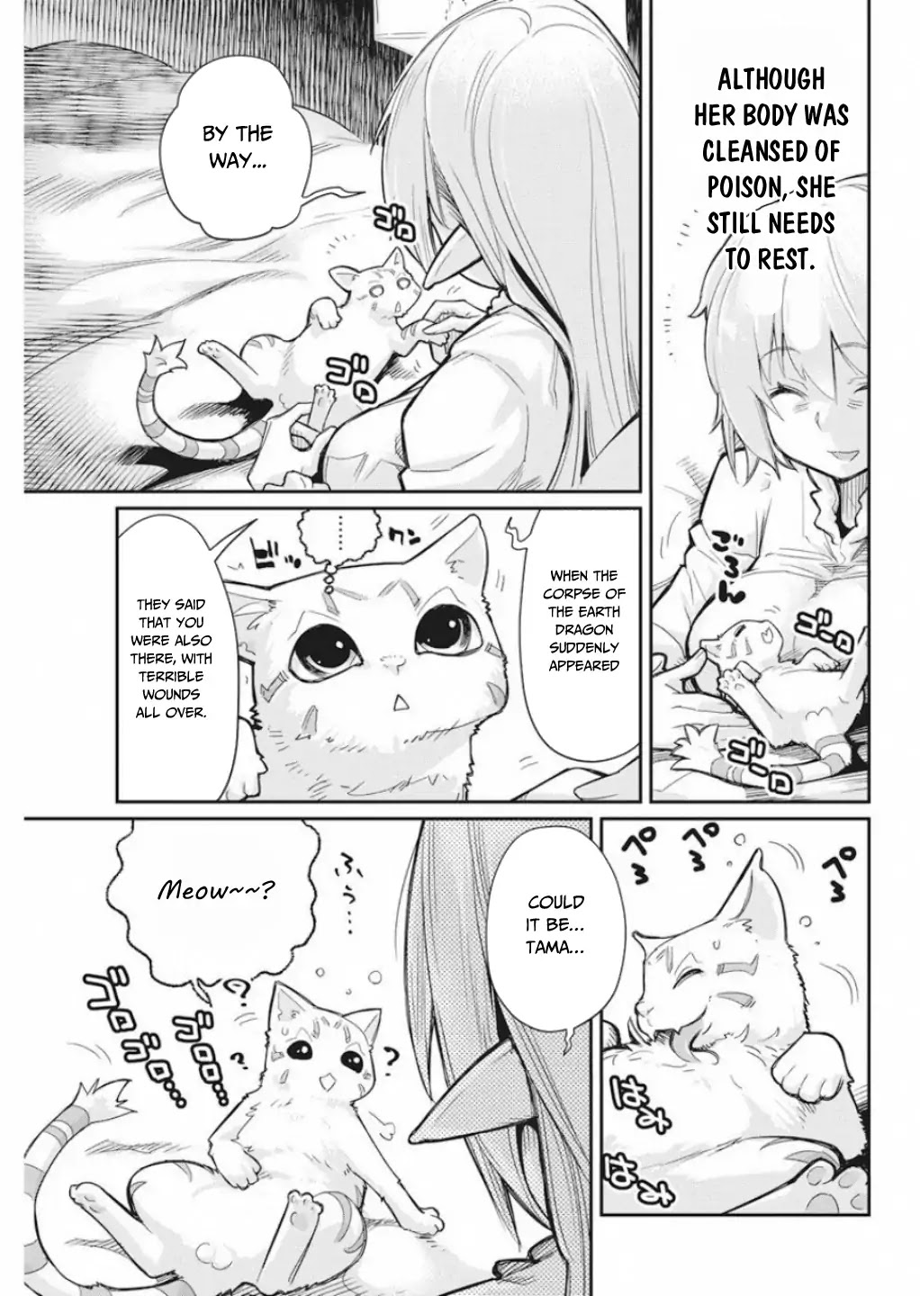 I Am Behemoth Of The S Rank Monster But I Am Mistaken As A Cat And I Live As A Pet Of Elf Girl chapter 16 page 10