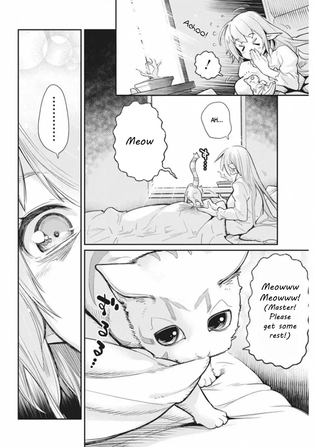 I Am Behemoth Of The S Rank Monster But I Am Mistaken As A Cat And I Live As A Pet Of Elf Girl chapter 16 page 13