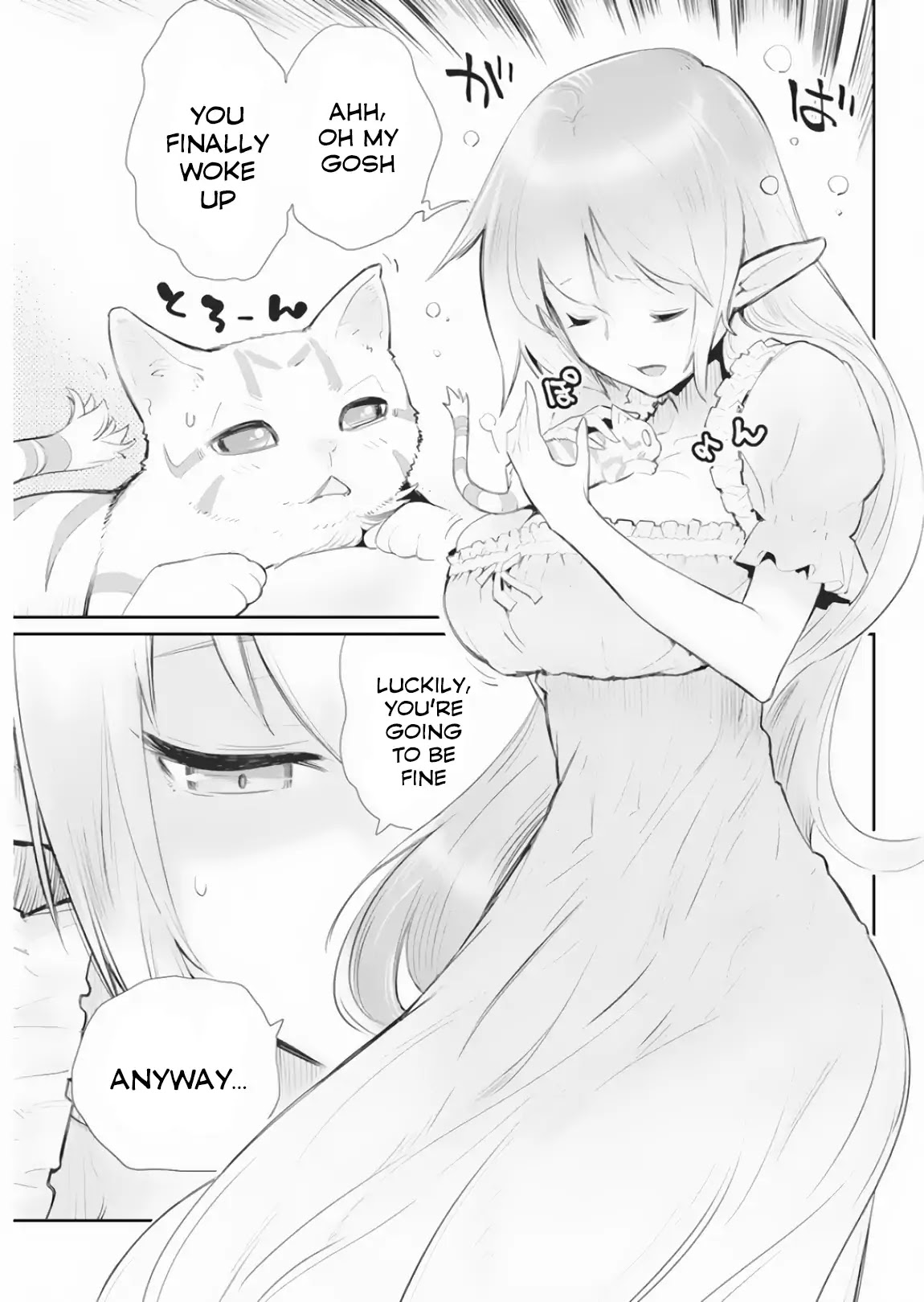I Am Behemoth Of The S Rank Monster But I Am Mistaken As A Cat And I Live As A Pet Of Elf Girl chapter 17 page 21