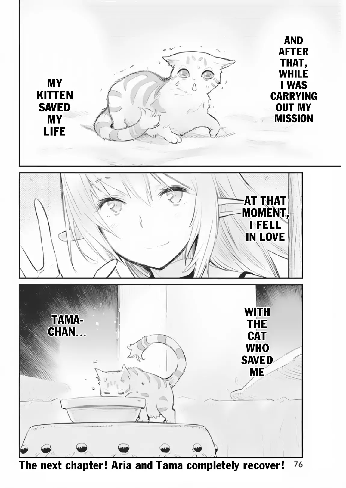 I Am Behemoth Of The S Rank Monster But I Am Mistaken As A Cat And I Live As A Pet Of Elf Girl chapter 17 page 24