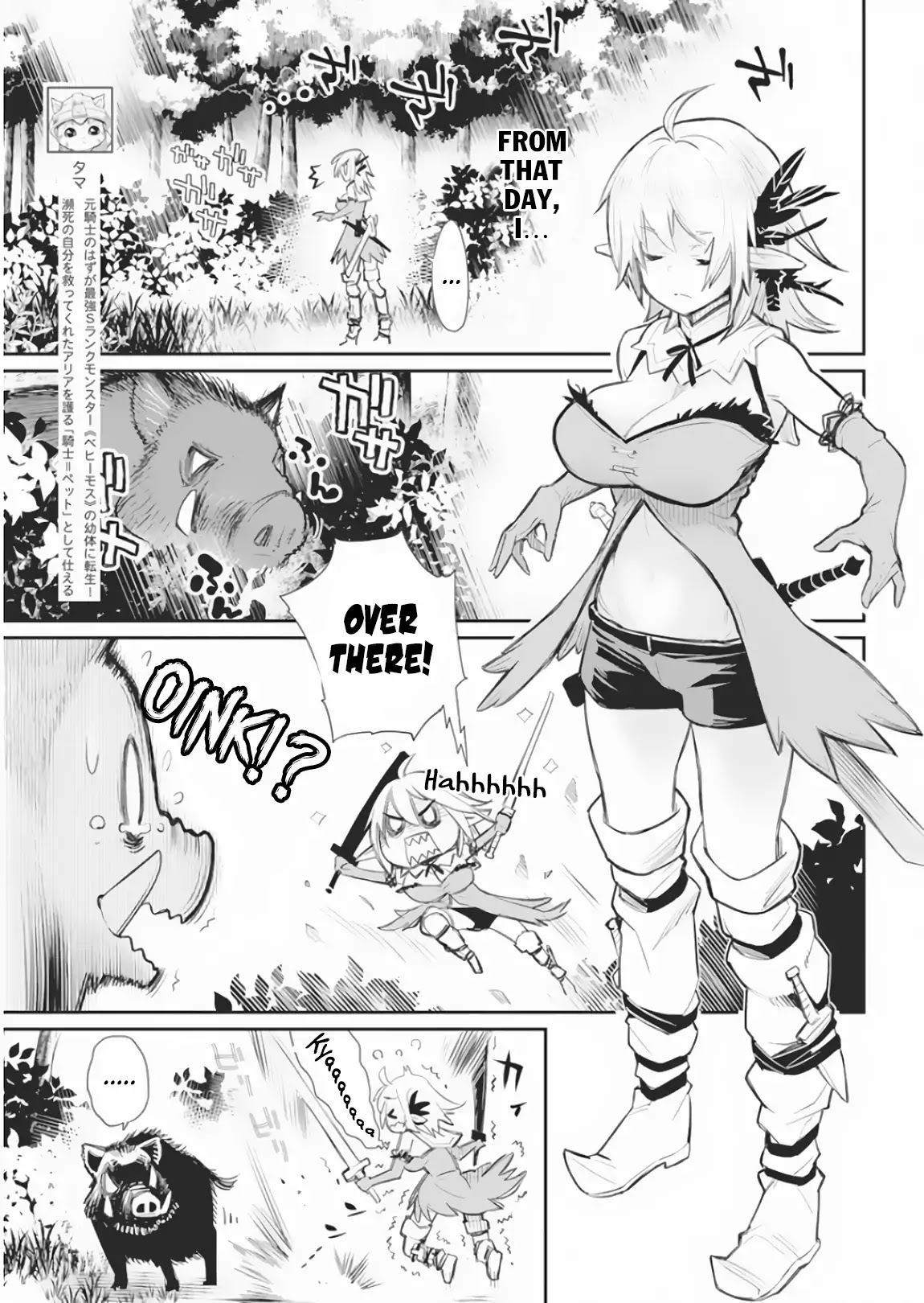 I Am Behemoth Of The S Rank Monster But I Am Mistaken As A Cat And I Live As A Pet Of Elf Girl chapter 17 page 5