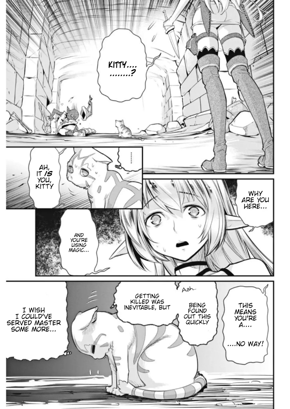 I Am Behemoth Of The S Rank Monster But I Am Mistaken As A Cat And I Live As A Pet Of Elf Girl chapter 2 page 17