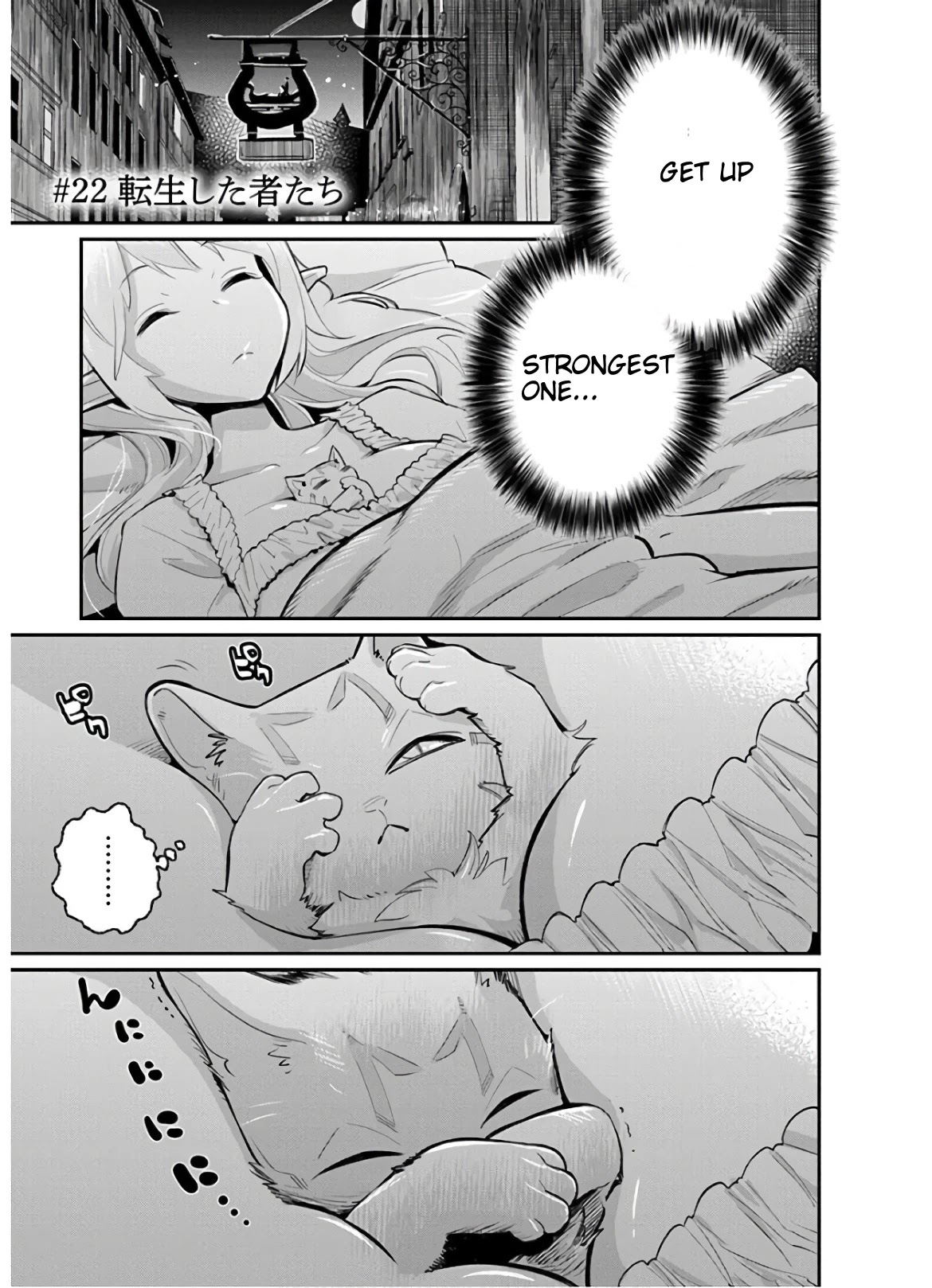 I Am Behemoth Of The S Rank Monster But I Am Mistaken As A Cat And I Live As A Pet Of Elf Girl chapter 22 page 1