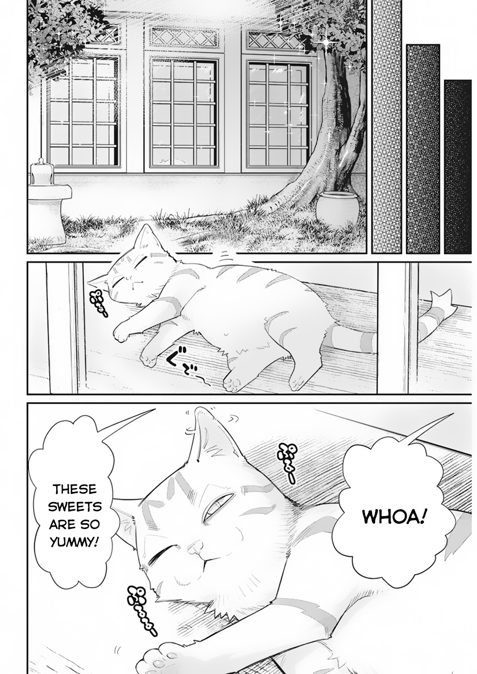 I Am Behemoth Of The S Rank Monster But I Am Mistaken As A Cat And I Live As A Pet Of Elf Girl chapter 36 page 17