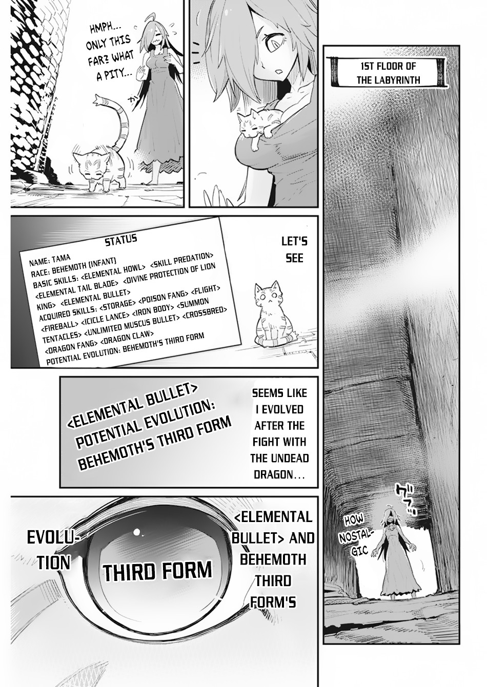 I Am Behemoth Of The S Rank Monster But I Am Mistaken As A Cat And I Live As A Pet Of Elf Girl chapter 39 page 8