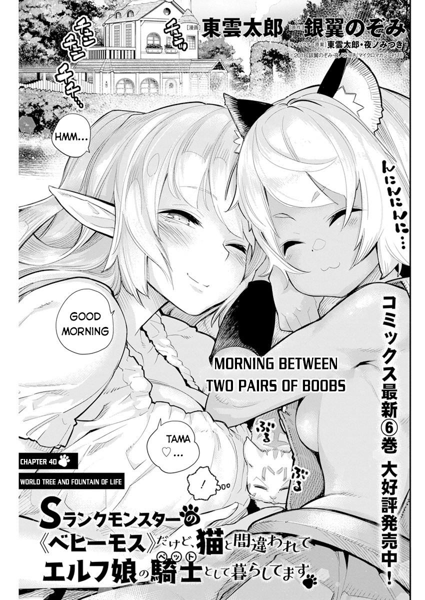 I Am Behemoth Of The S Rank Monster But I Am Mistaken As A Cat And I Live As A Pet Of Elf Girl chapter 40 page 2