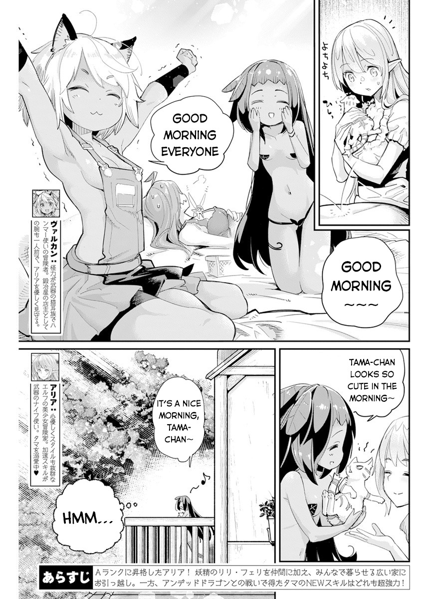 I Am Behemoth Of The S Rank Monster But I Am Mistaken As A Cat And I Live As A Pet Of Elf Girl chapter 40 page 4