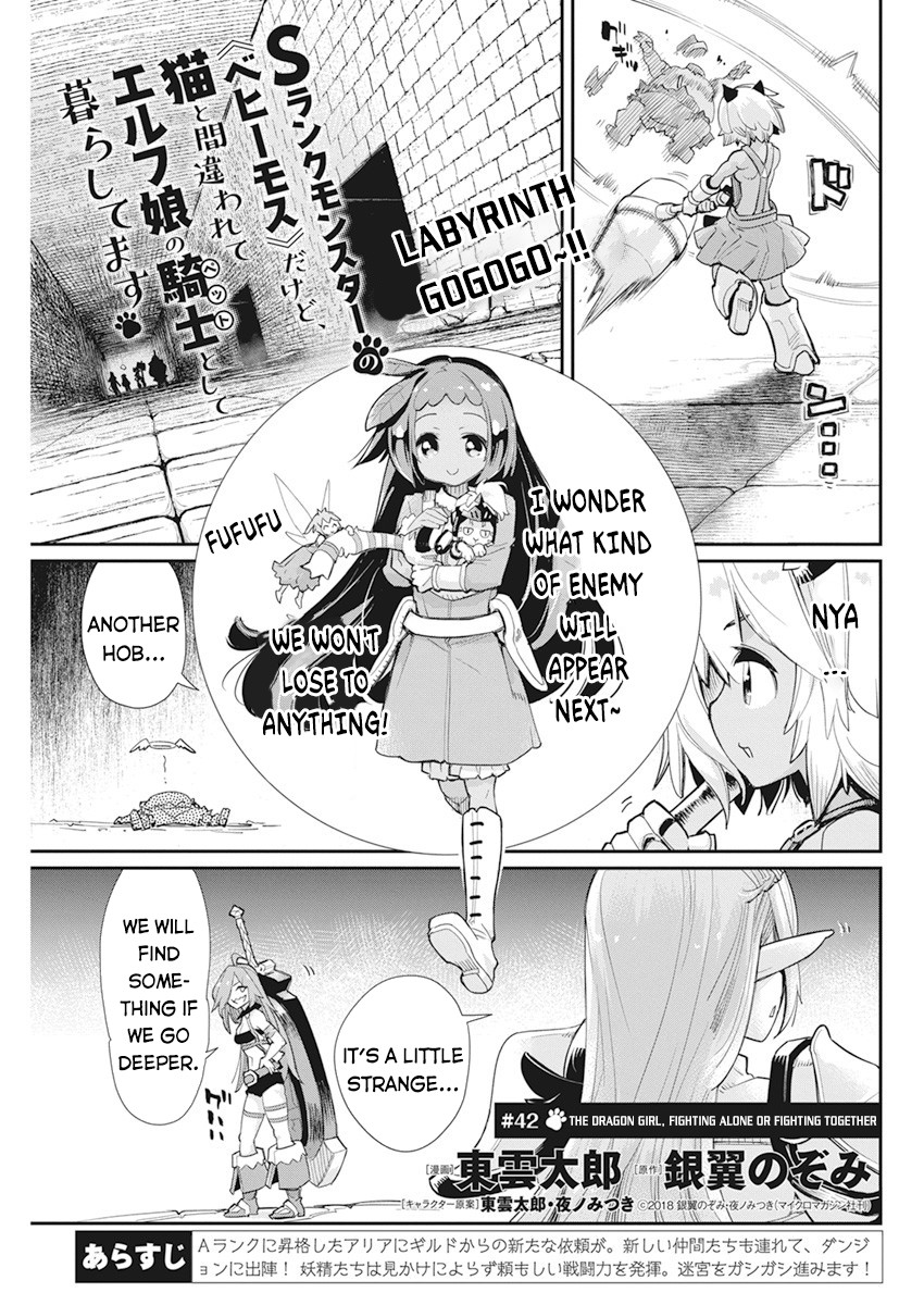 I Am Behemoth Of The S Rank Monster But I Am Mistaken As A Cat And I Live As A Pet Of Elf Girl chapter 42 page 2