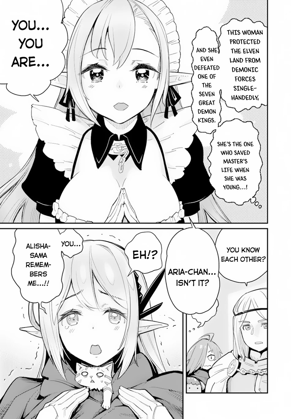 I Am Behemoth Of The S Rank Monster But I Am Mistaken As A Cat And I Live As A Pet Of Elf Girl chapter 45 page 11