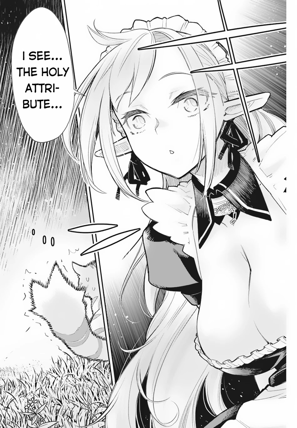 I Am Behemoth Of The S Rank Monster But I Am Mistaken As A Cat And I Live As A Pet Of Elf Girl chapter 46 page 11