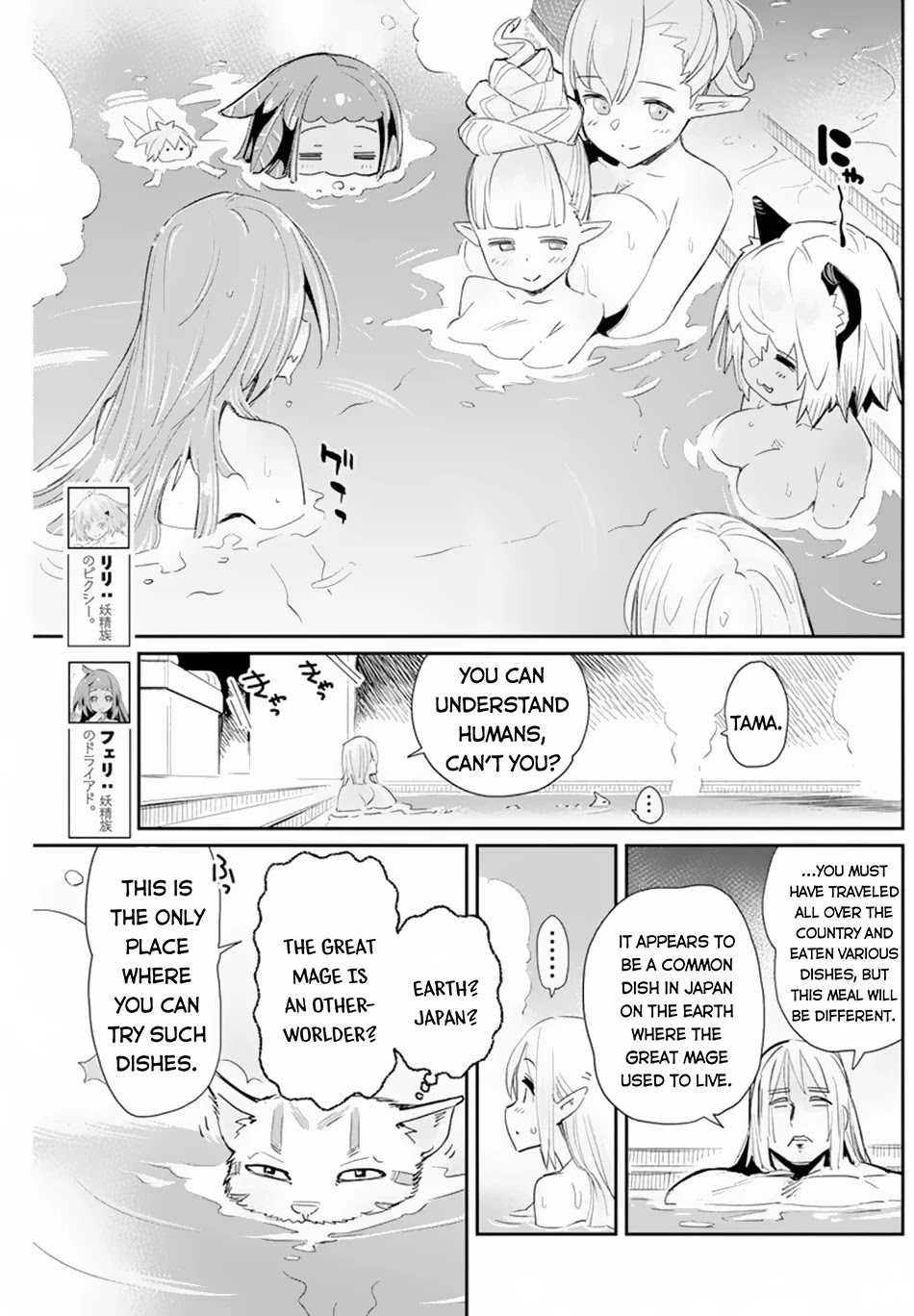 I Am Behemoth Of The S Rank Monster But I Am Mistaken As A Cat And I Live As A Pet Of Elf Girl chapter 47 page 11
