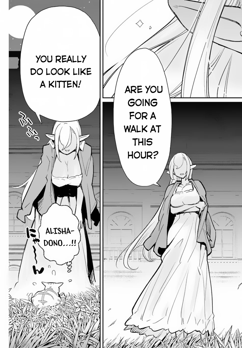I Am Behemoth Of The S Rank Monster But I Am Mistaken As A Cat And I Live As A Pet Of Elf Girl chapter 47 page 17
