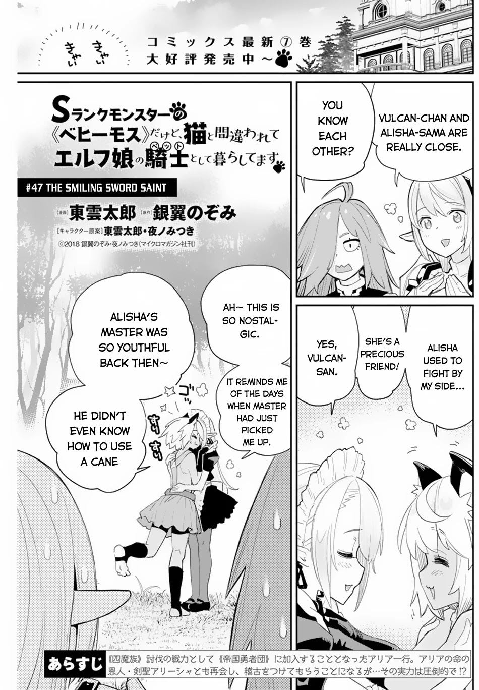 I Am Behemoth Of The S Rank Monster But I Am Mistaken As A Cat And I Live As A Pet Of Elf Girl chapter 47 page 2