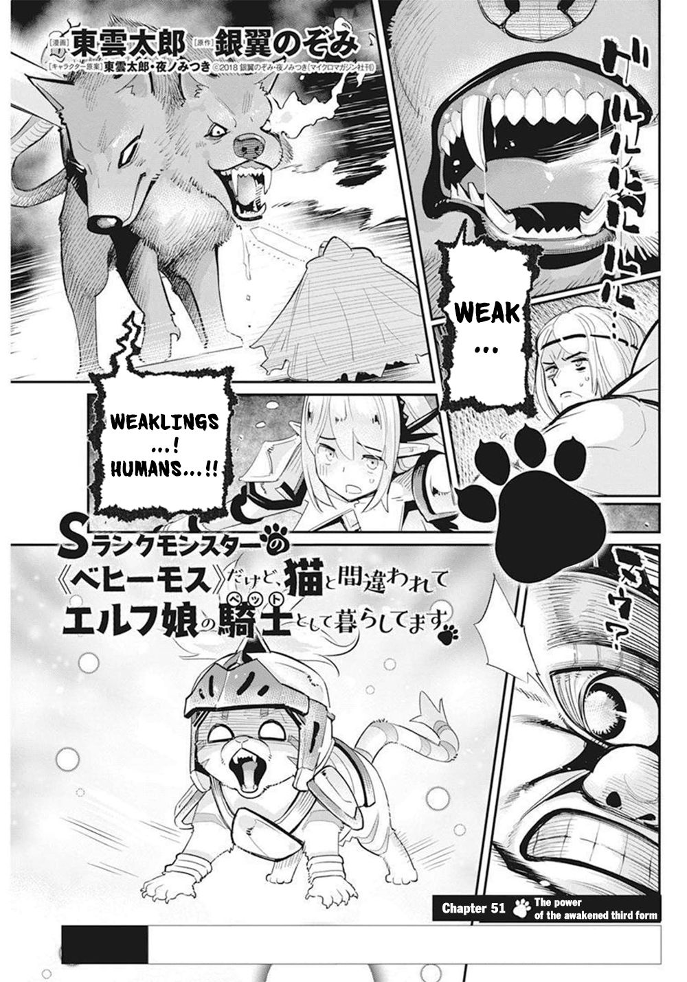 I Am Behemoth Of The S Rank Monster But I Am Mistaken As A Cat And I Live As A Pet Of Elf Girl chapter 51 page 2