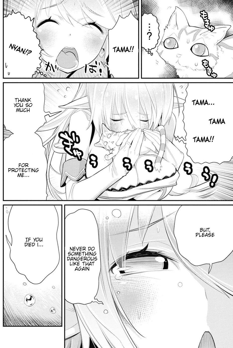 I Am Behemoth Of The S Rank Monster But I Am Mistaken As A Cat And I Live As A Pet Of Elf Girl chapter 6 page 17