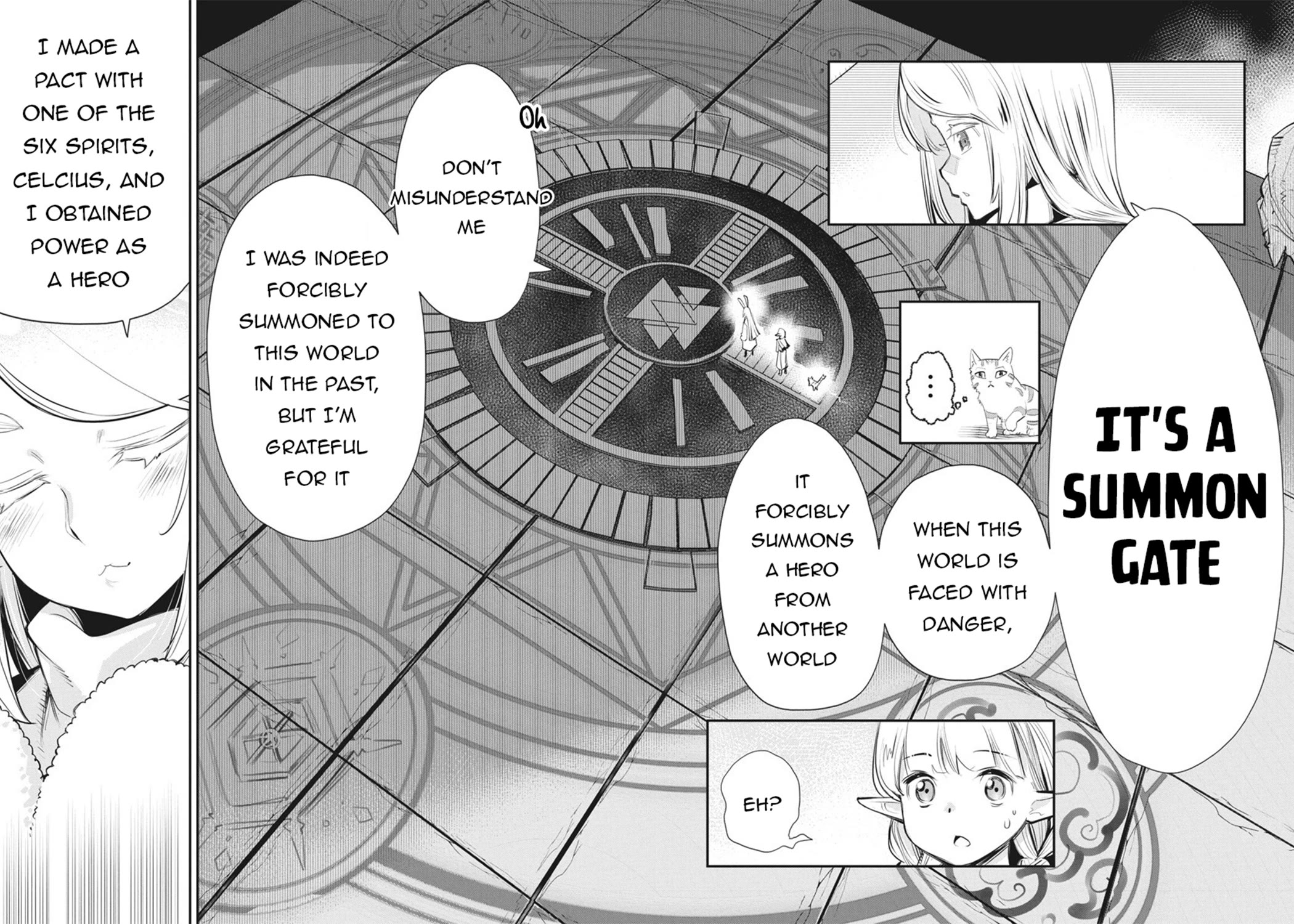 I Am Behemoth Of The S Rank Monster But I Am Mistaken As A Cat And I Live As A Pet Of Elf Girl chapter 75 page 6