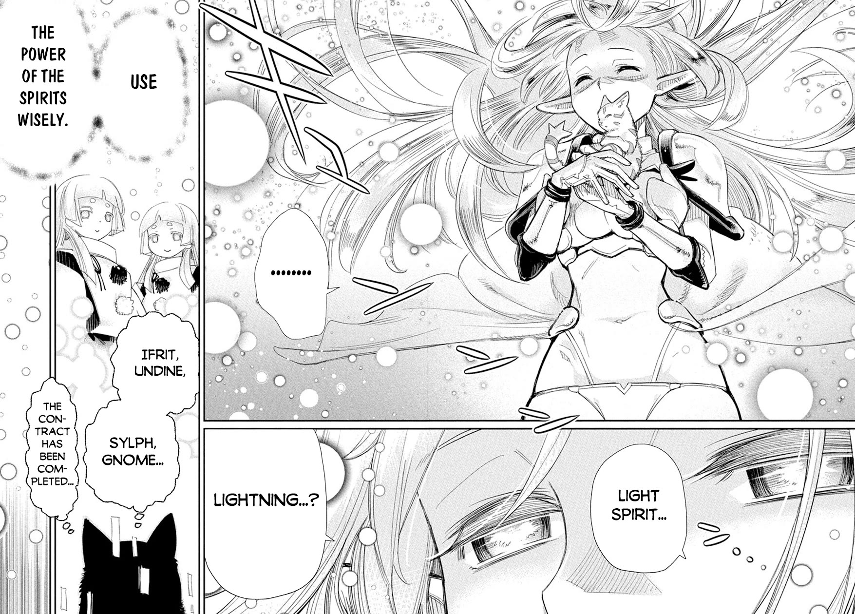 I Am Behemoth Of The S Rank Monster But I Am Mistaken As A Cat And I Live As A Pet Of Elf Girl chapter 77 page 13